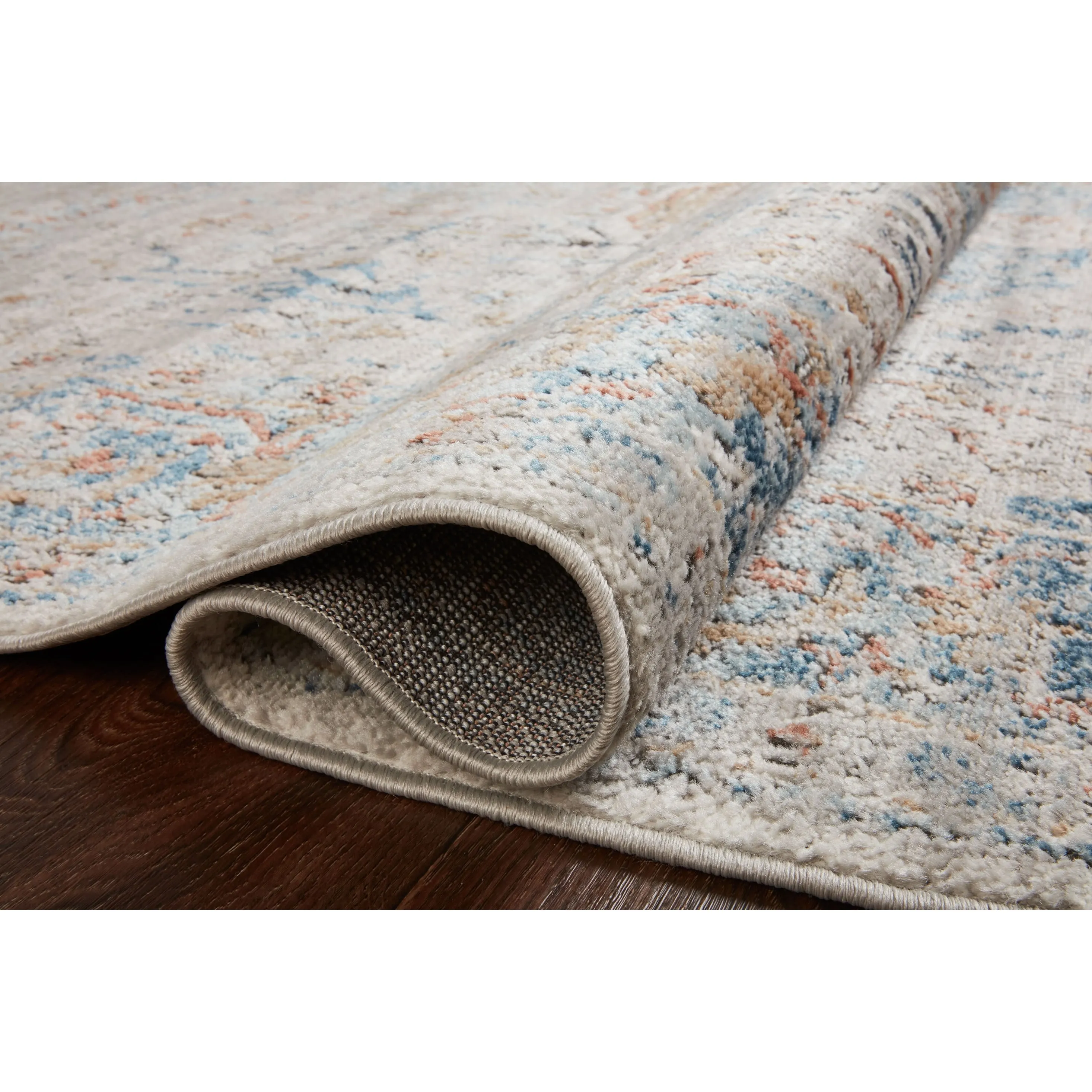 Alexander Home Charlotte Vintage Transitional Area Rug