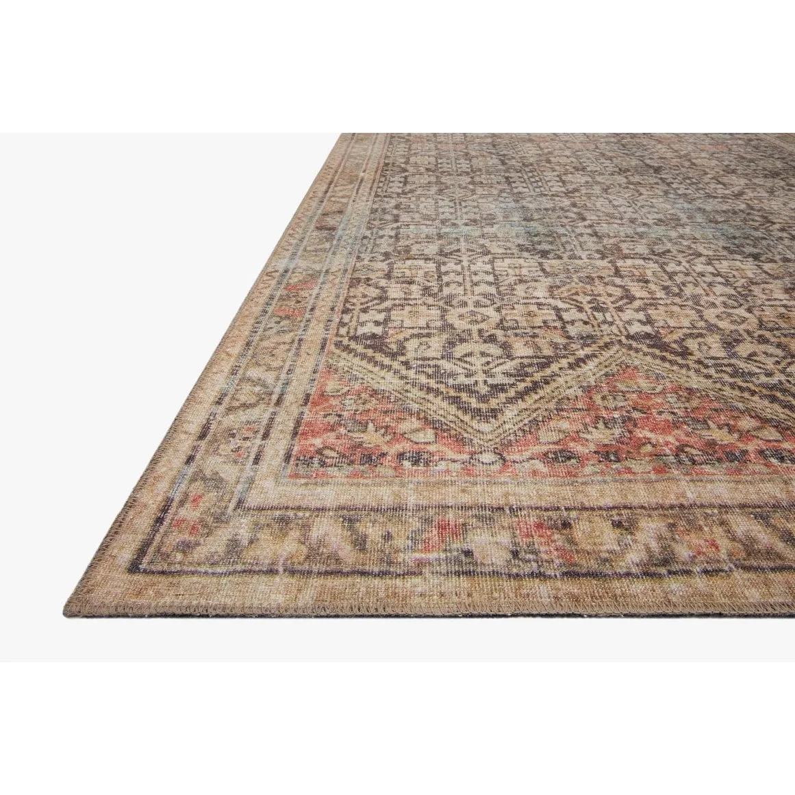 Alexander Home Tremezzina Printed Geometric Botanical Distressed Rug