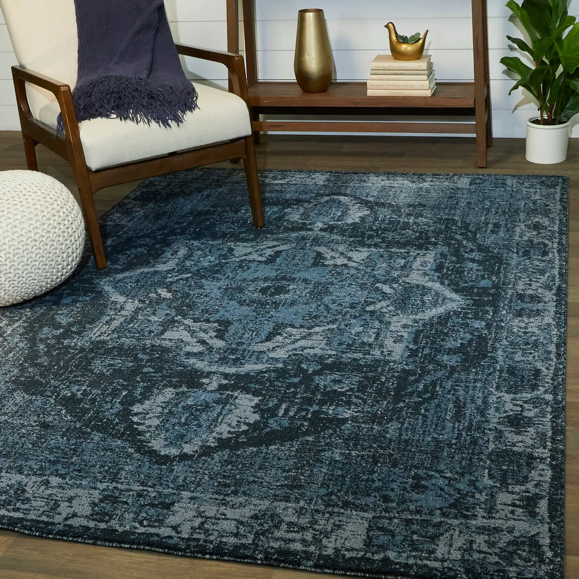 Amina Vintage Oriental Area Rug