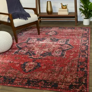 Amina Vintage Oriental Area Rug