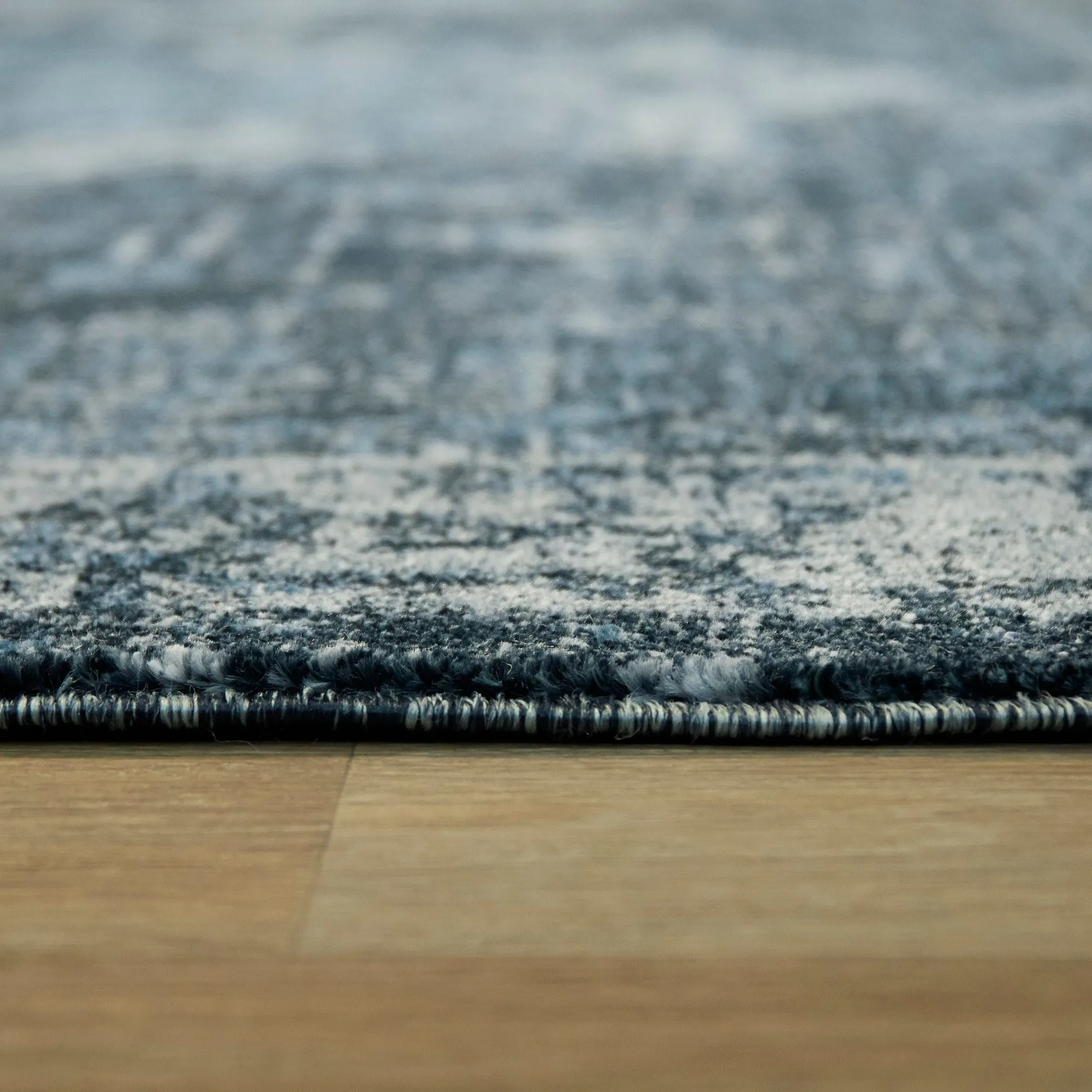 Amina Vintage Oriental Area Rug