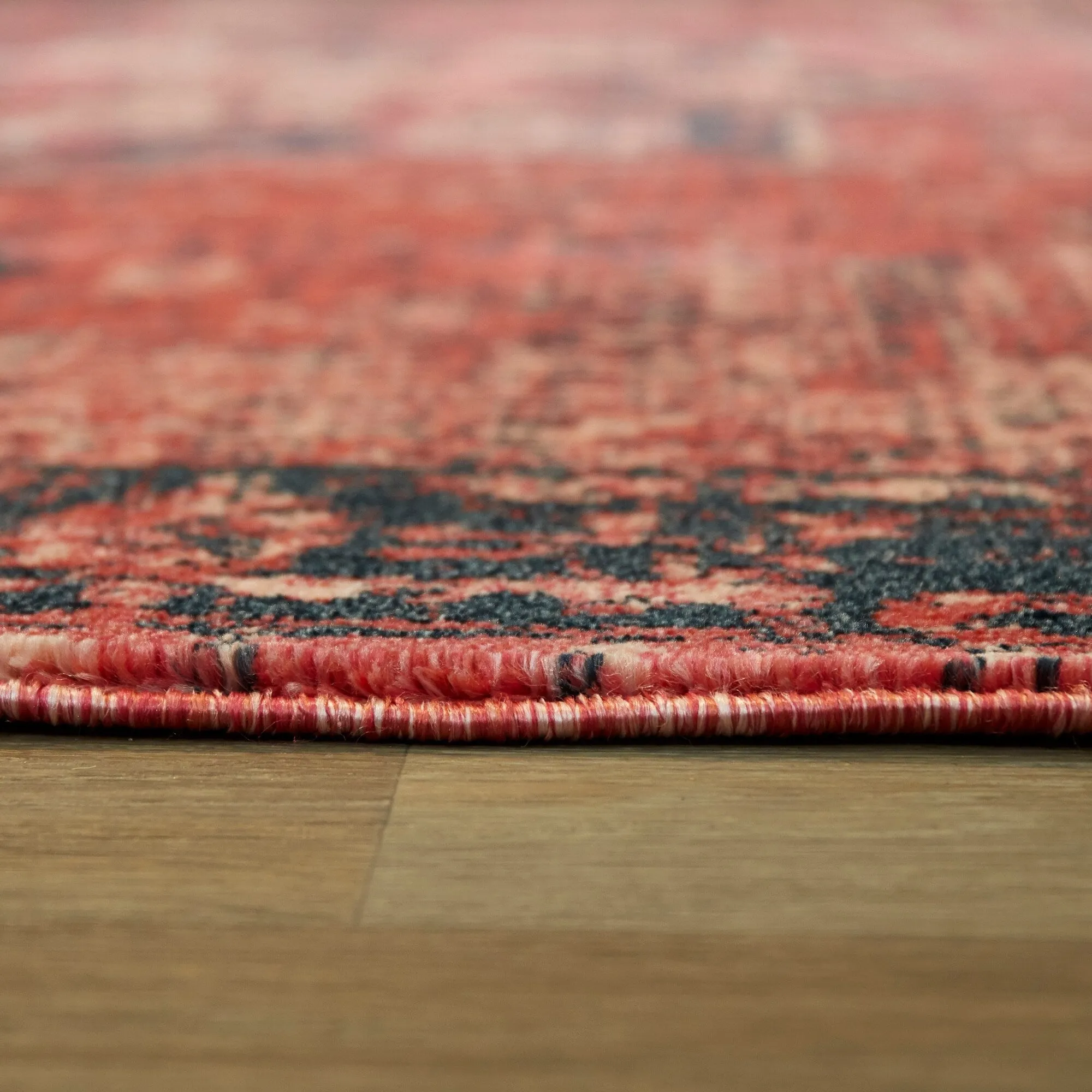 Amina Vintage Oriental Area Rug