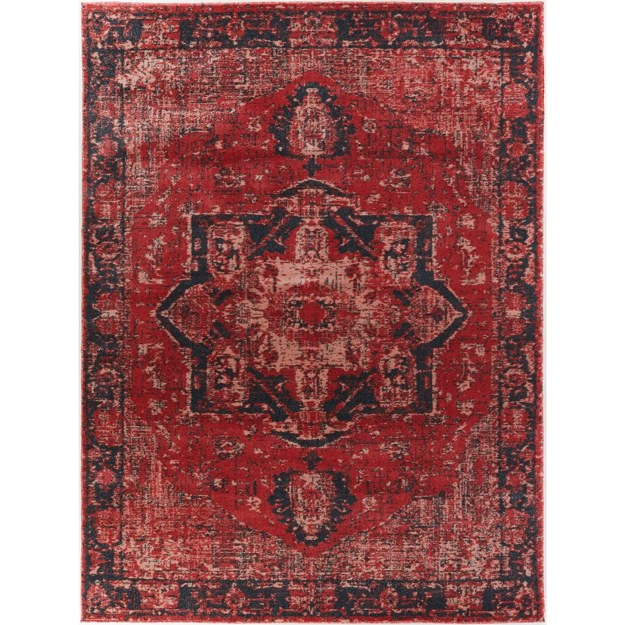 Amina Vintage Oriental Area Rug