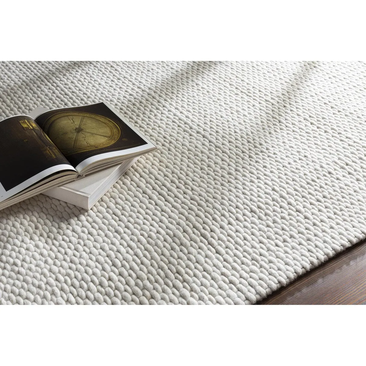 Andrew Modern Solid Area Rug
