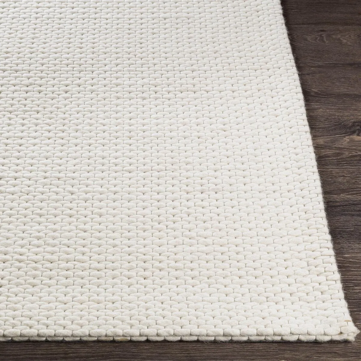 Andrew Modern Solid Area Rug