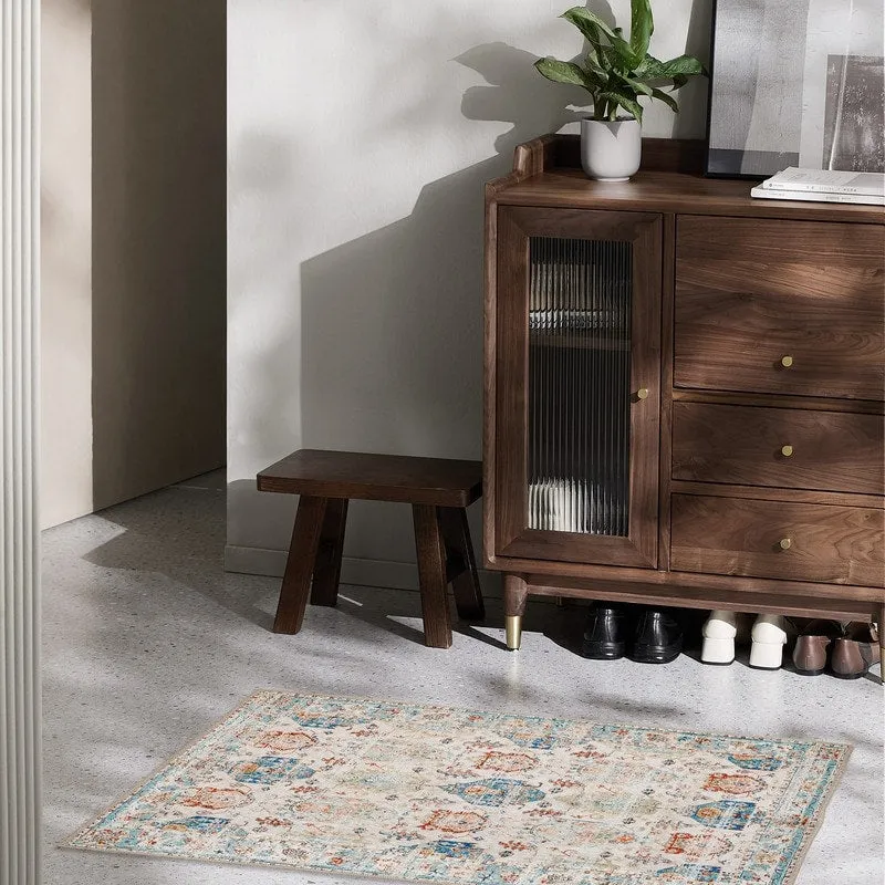 Area Rug Indoor Stain Resistant Washable Door Mat Rugs & Non-Slip Rubber Backing.Low-Pile Boho Vintage Distressed Carpet.Blue