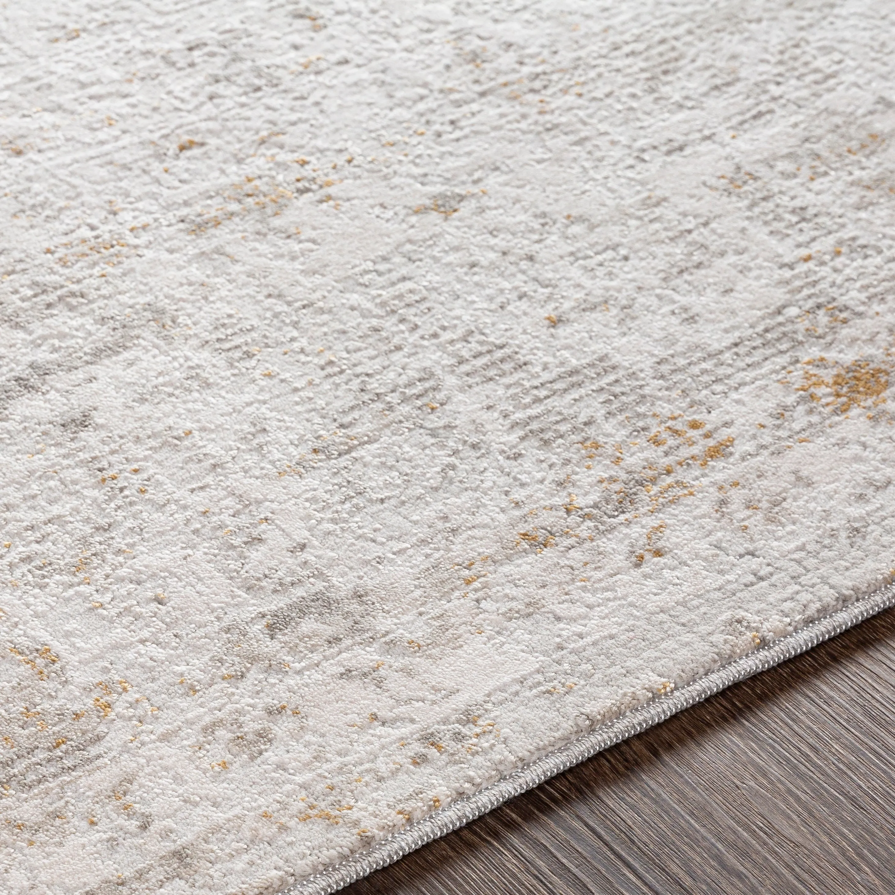 Artistic Weavers Camillus Vintage Border Area Rug