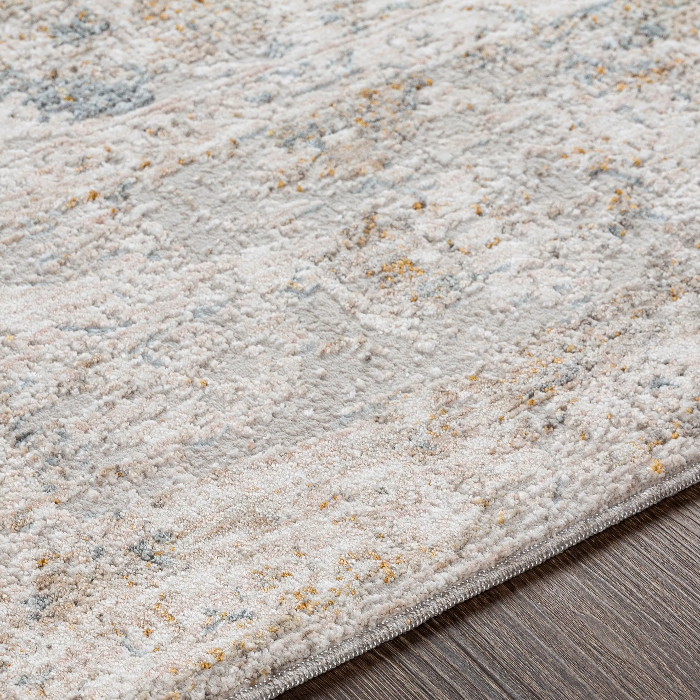 Artistic Weavers Camillus Vintage Border Area Rug