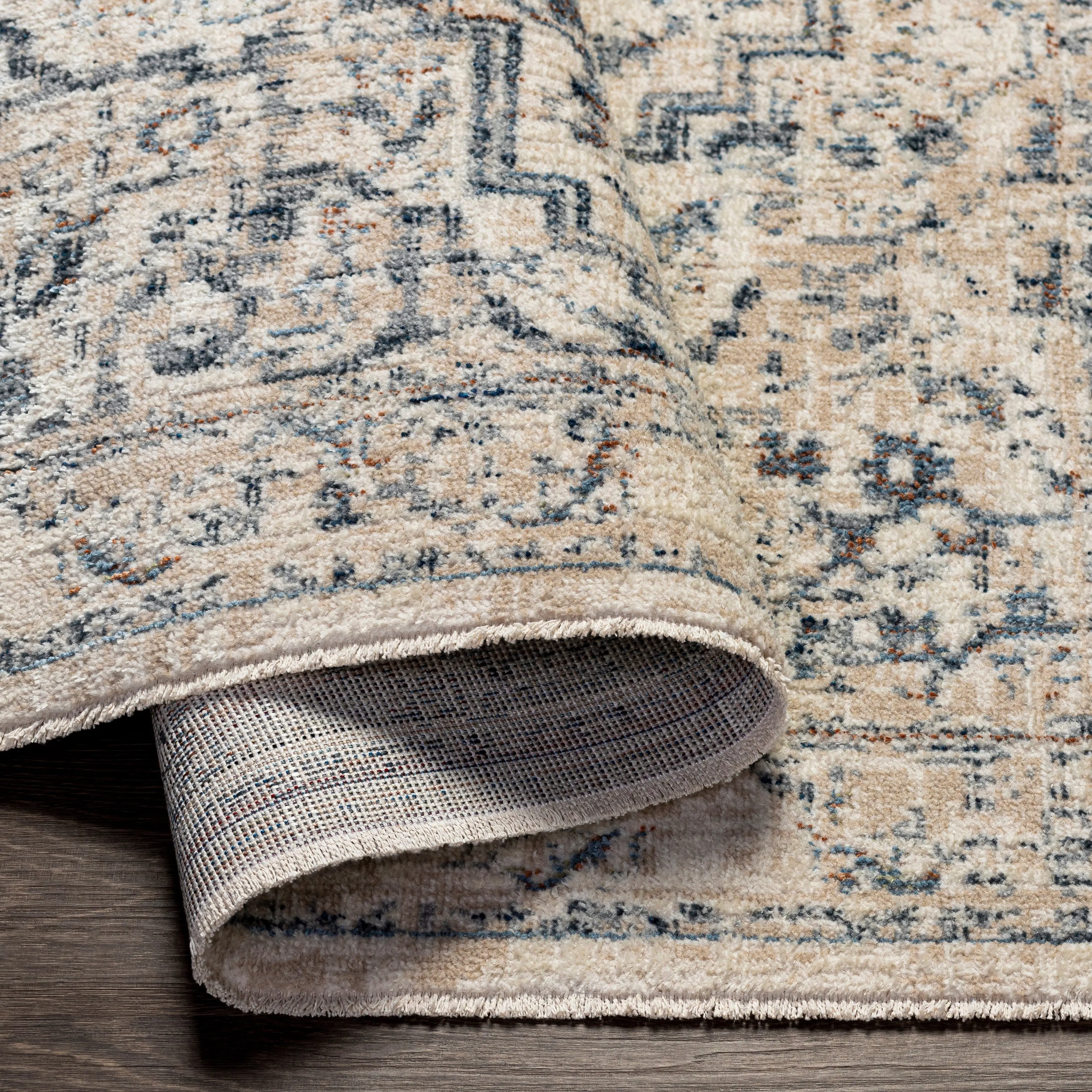 Artistic Weavers Nusrat Vintage Area Rug