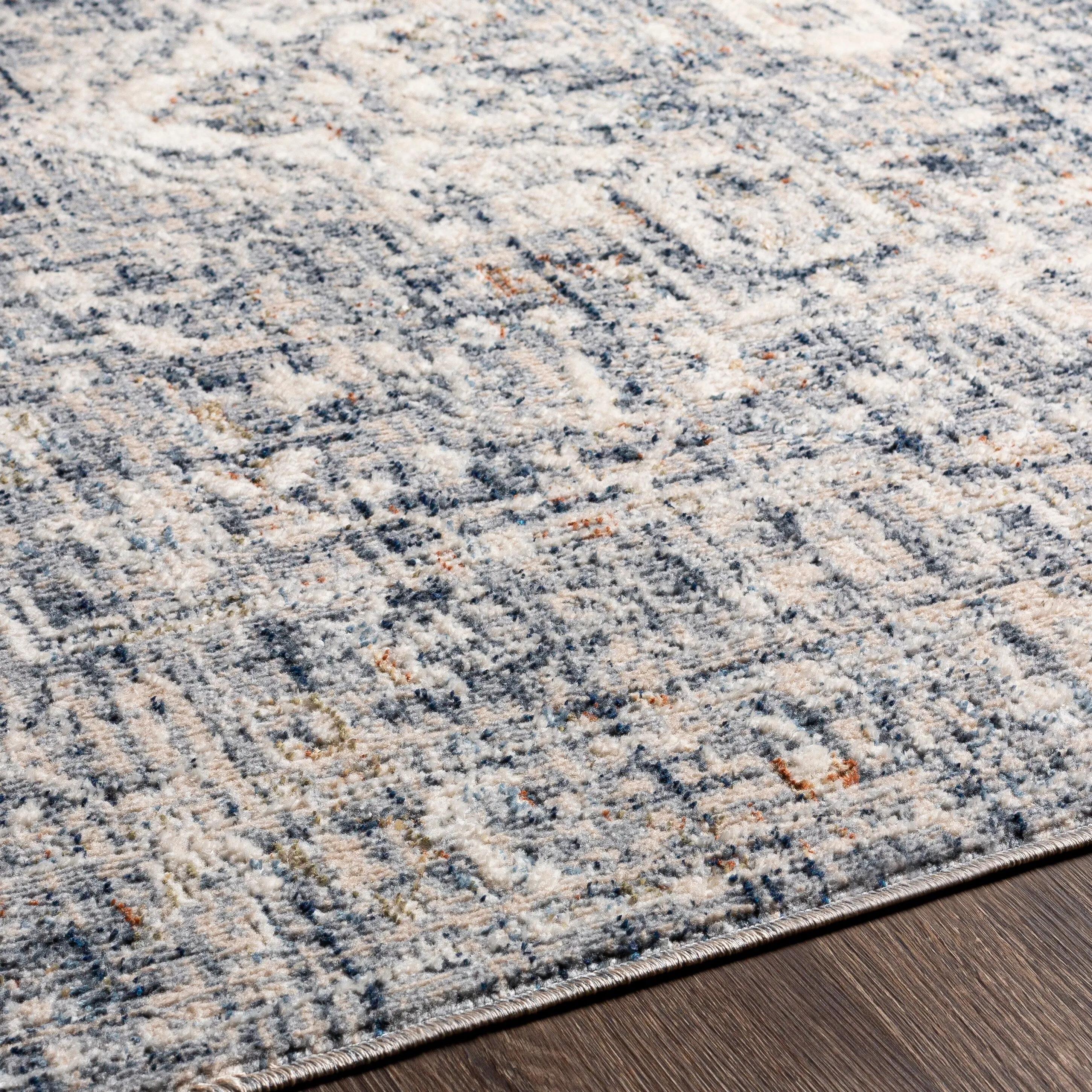 Artistic Weavers Nusrat Vintage Area Rug