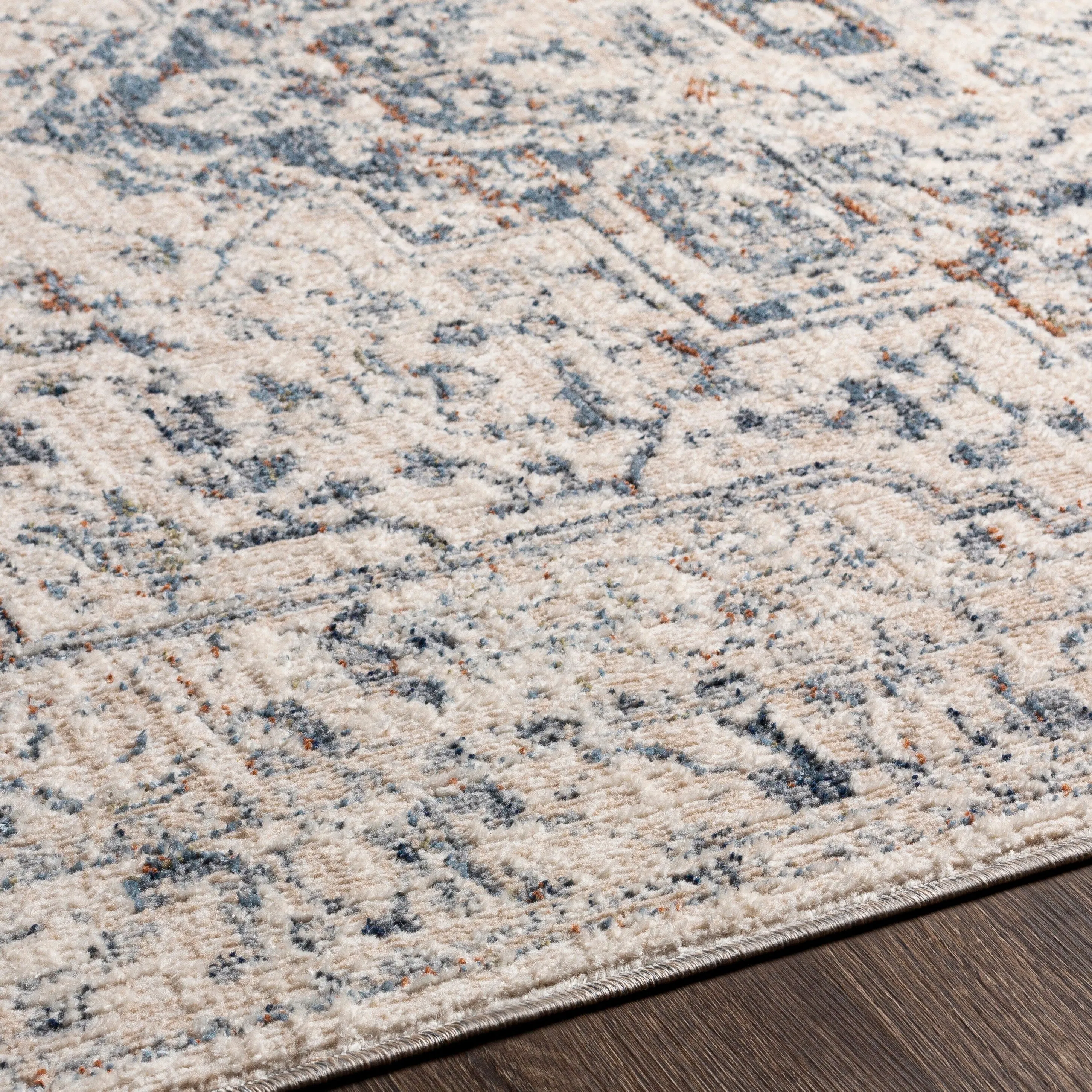 Artistic Weavers Nusrat Vintage Area Rug