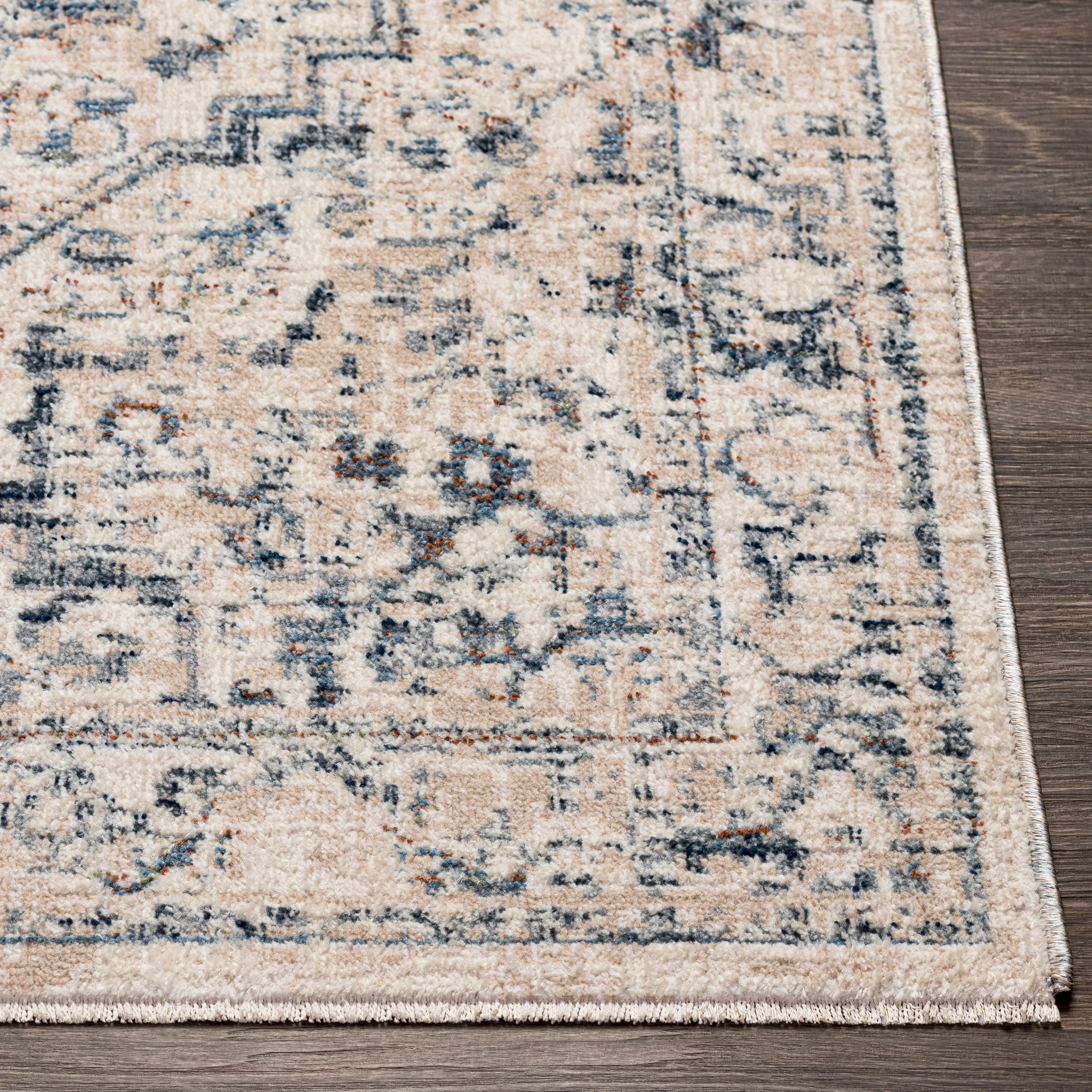 Artistic Weavers Nusrat Vintage Area Rug