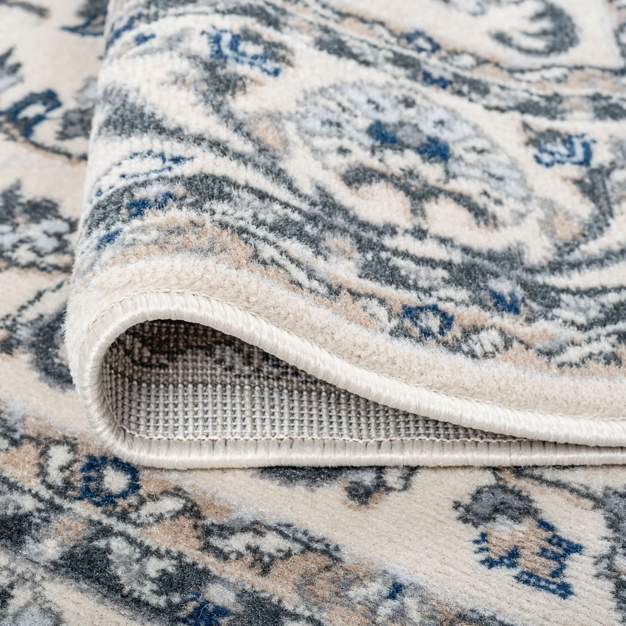 Carrington Traditional Border Indoor Area Rug