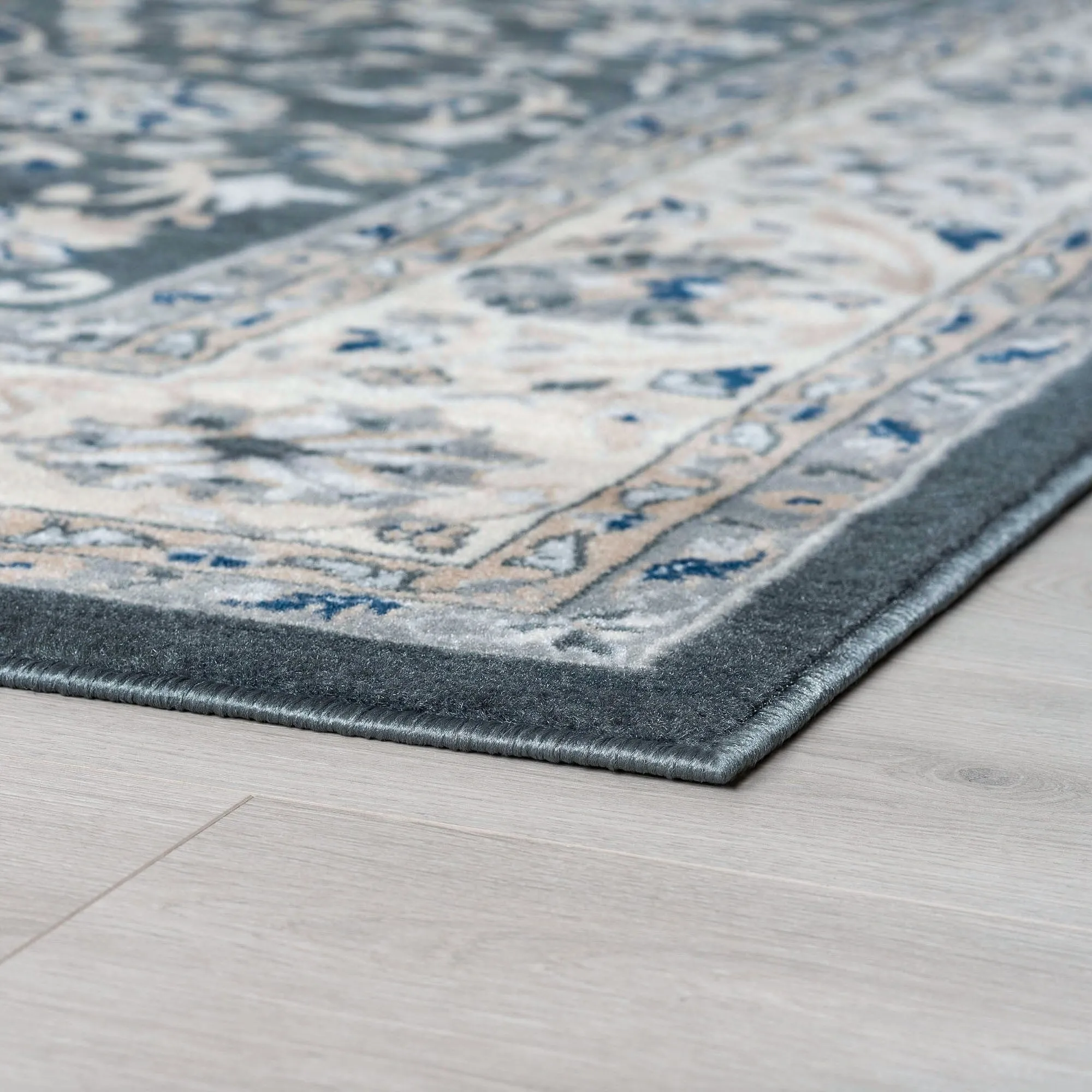 Carrington Traditional Border Indoor Area Rug