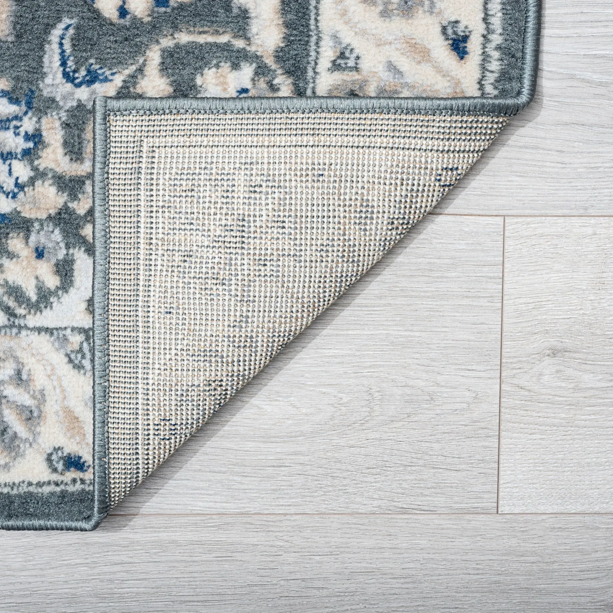 Carrington Traditional Border Indoor Area Rug