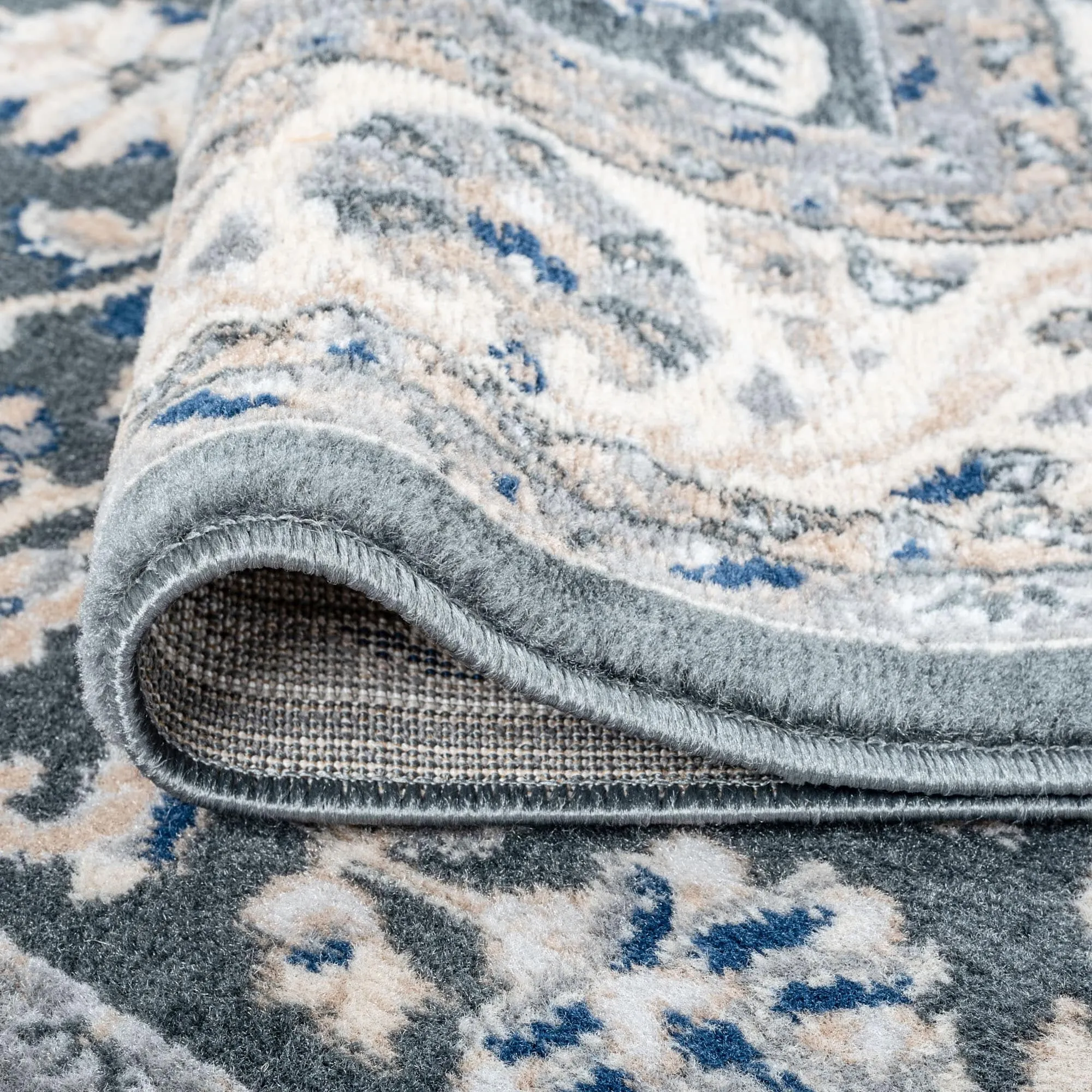 Carrington Traditional Border Indoor Area Rug
