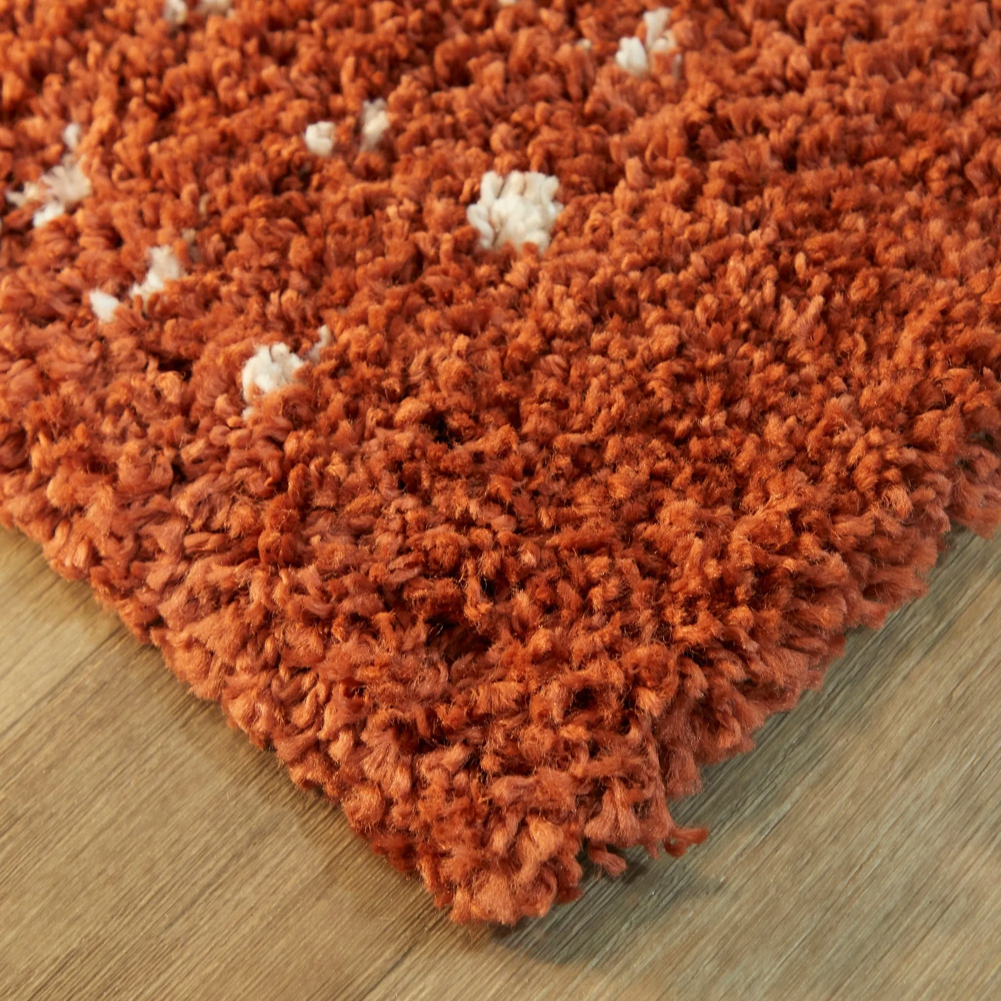 Carson Carrington Taxinge Shag Area Rug