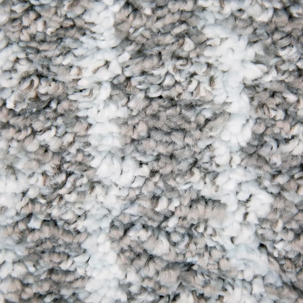 Carson Carrington Taxinge Shag Area Rug