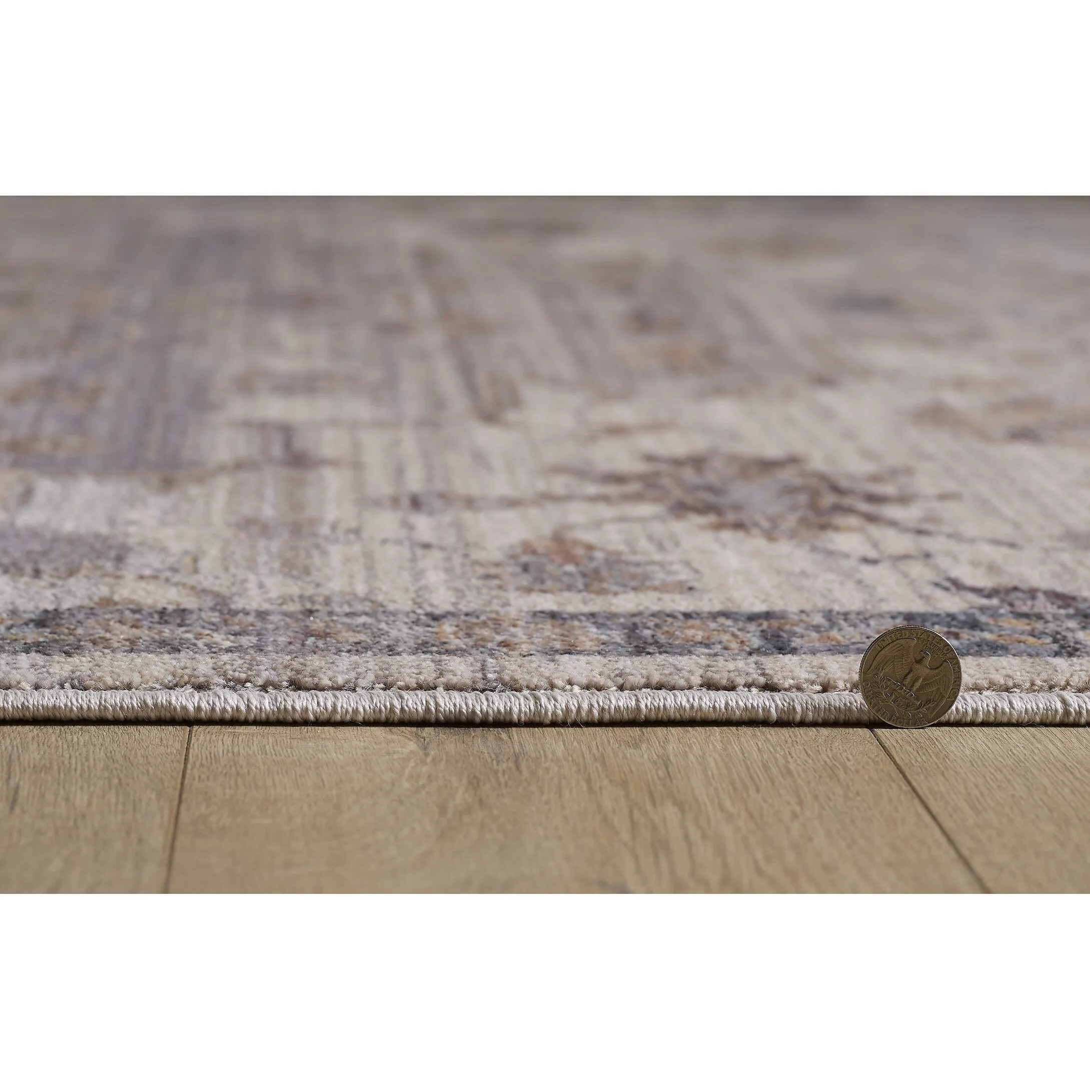Domani Greige Distressed And Modern Oriental Area Rug