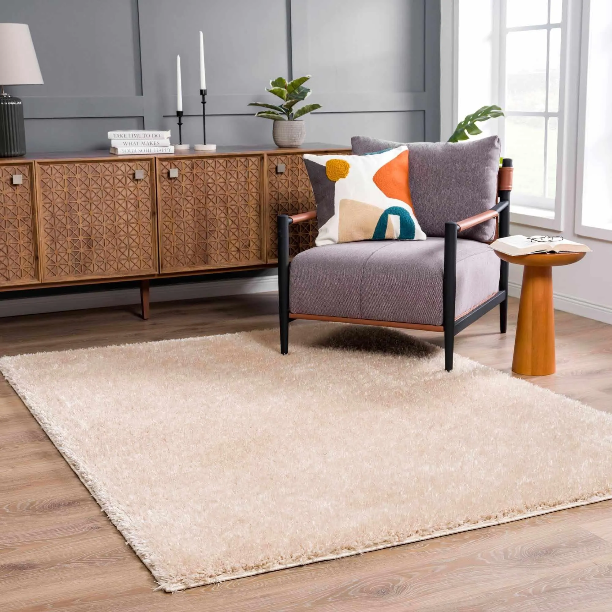 Faina Machine Washable Fluffy Carpet Solid Shag Plain Area Rug