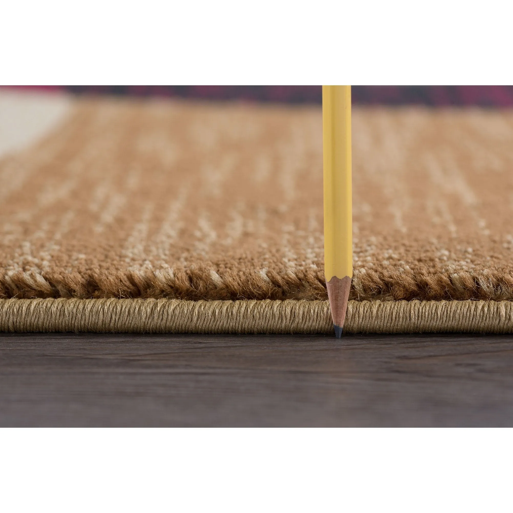 Flora Modern & Contemporary Geometric Indoor Area Rug