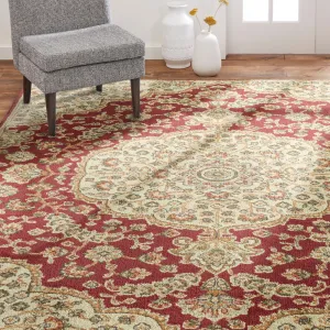 Home Dynamix Royalty Medallion Traditional Area Rug