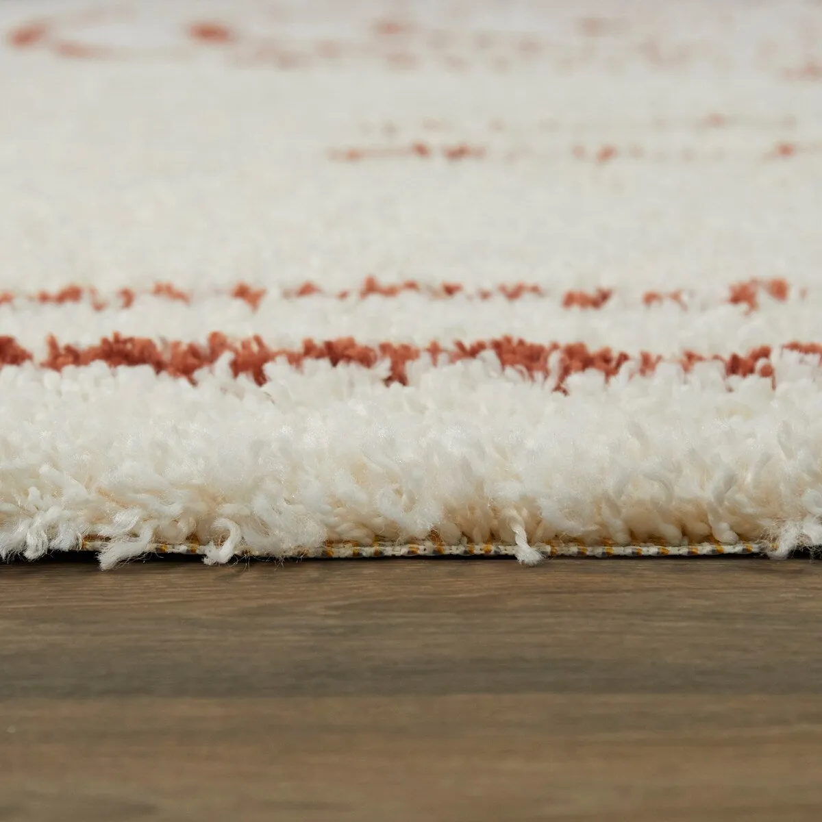 Janus Contemporary Berber Shag Area Rug