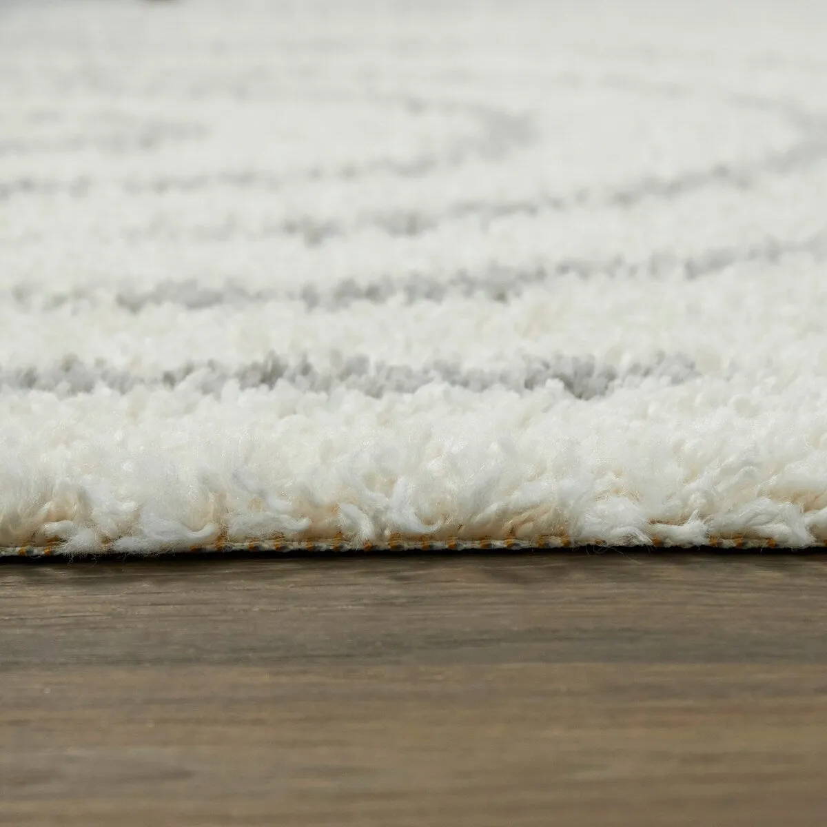 Janus Contemporary Berber Shag Area Rug