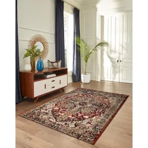 Liora Manne Aurora Medallion Indoor Rug