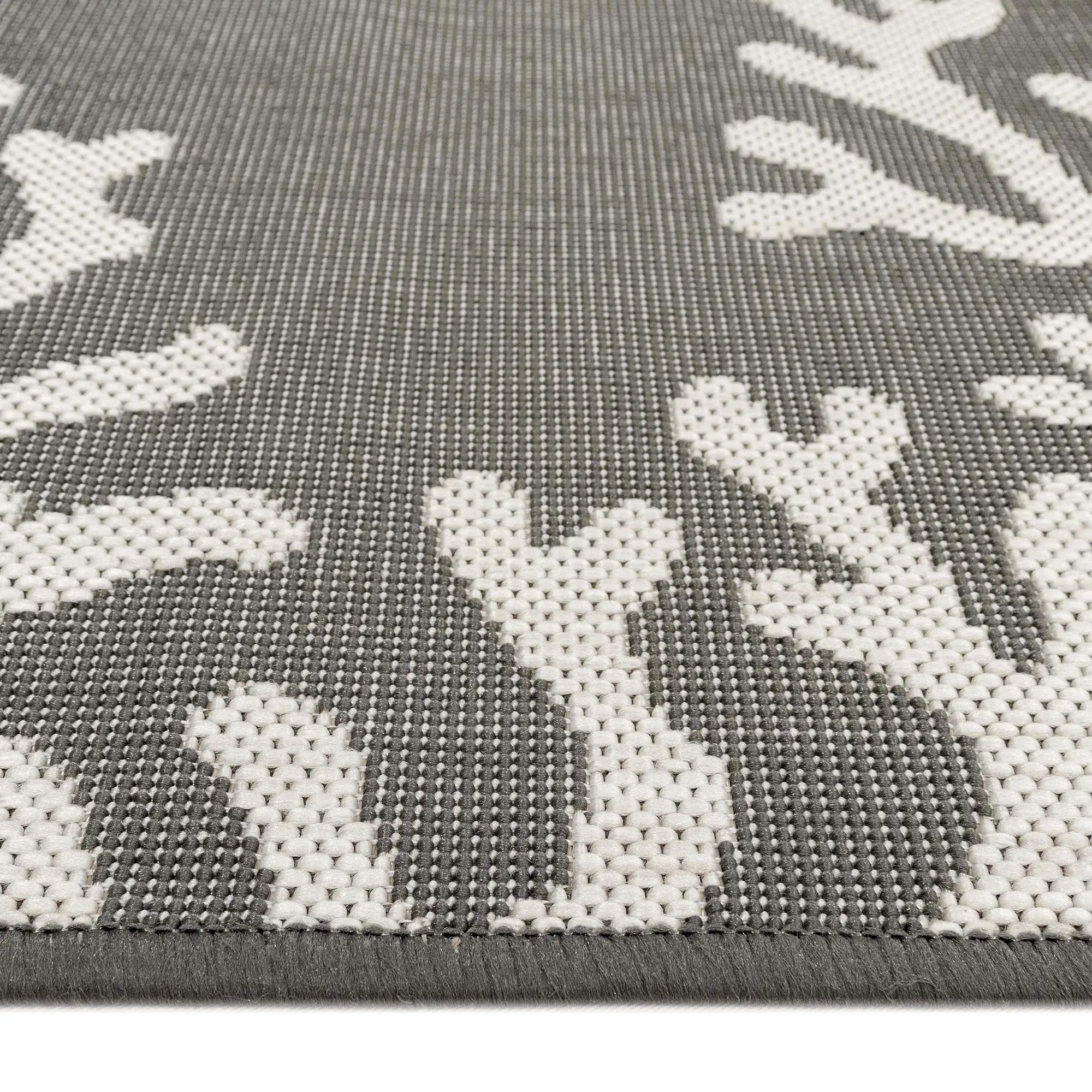 Liora Manne Carmel Coral Border Indoor/Outdoor Area Rug