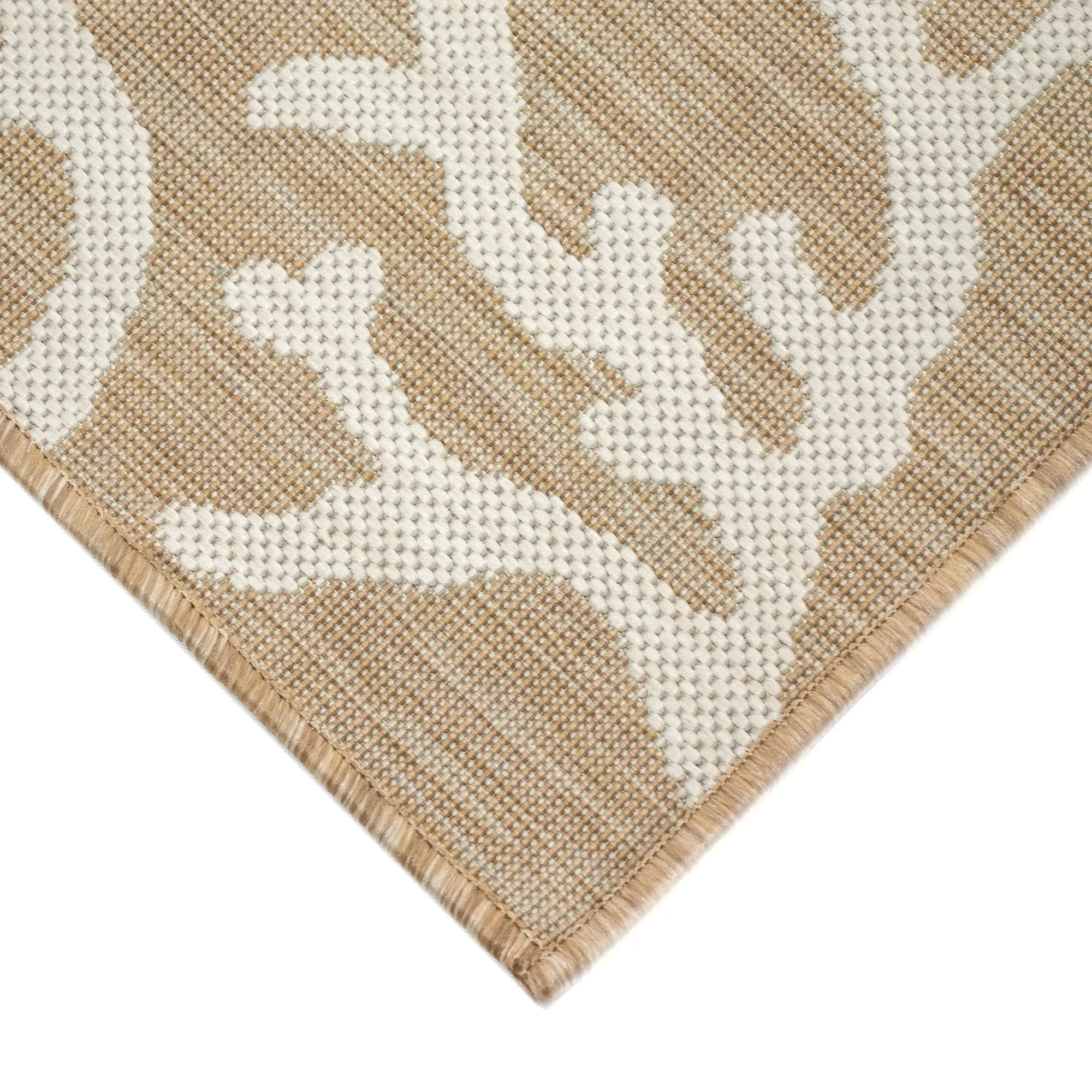 Liora Manne Carmel Coral Border Indoor/Outdoor Area Rug