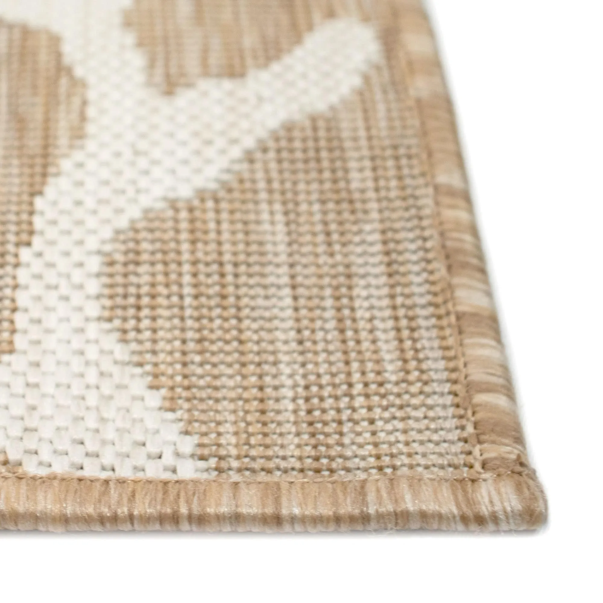 Liora Manne Carmel Coral Border Indoor/Outdoor Area Rug