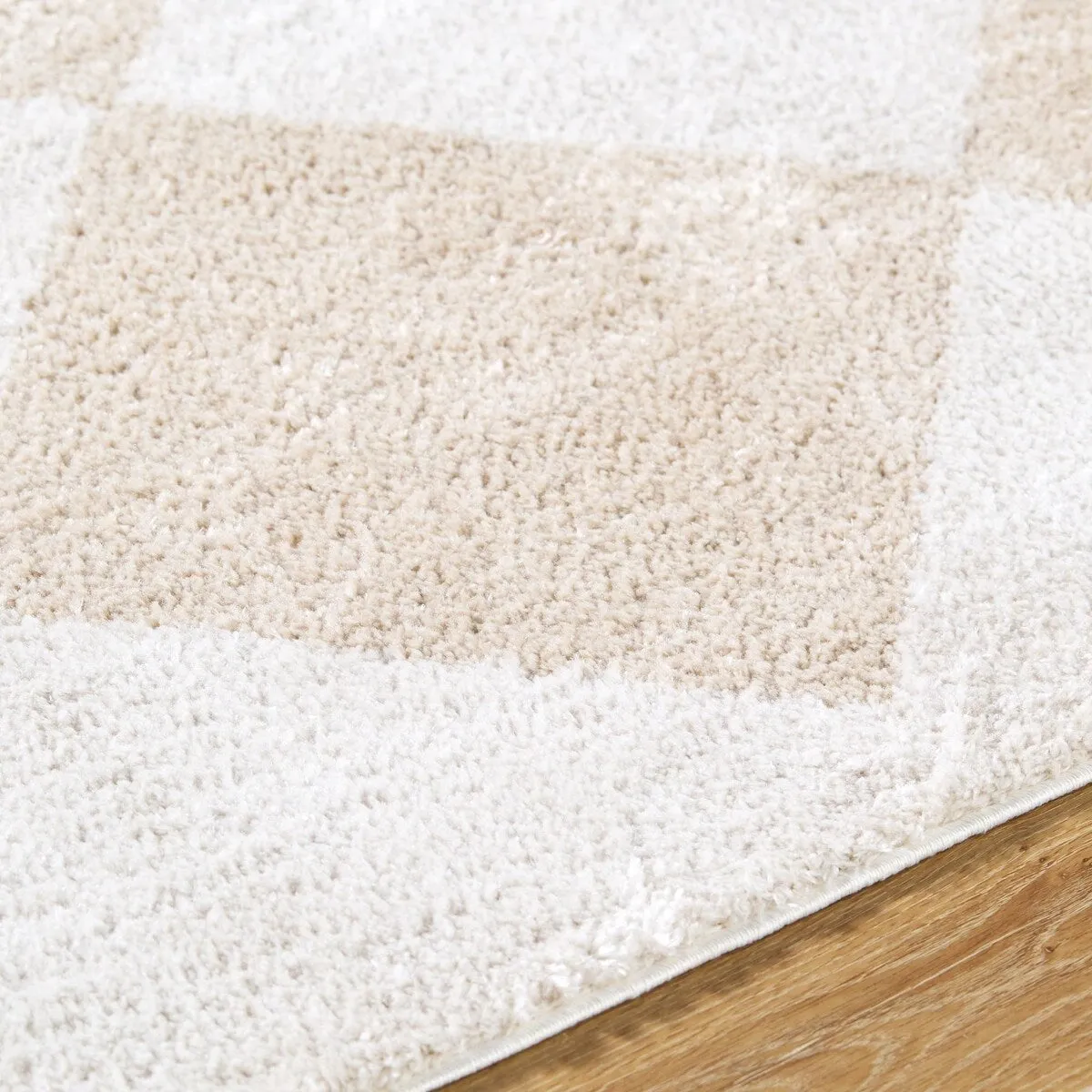 Livabliss Fossay Shag Modern & Contemporary Diamond Washable Area Rug