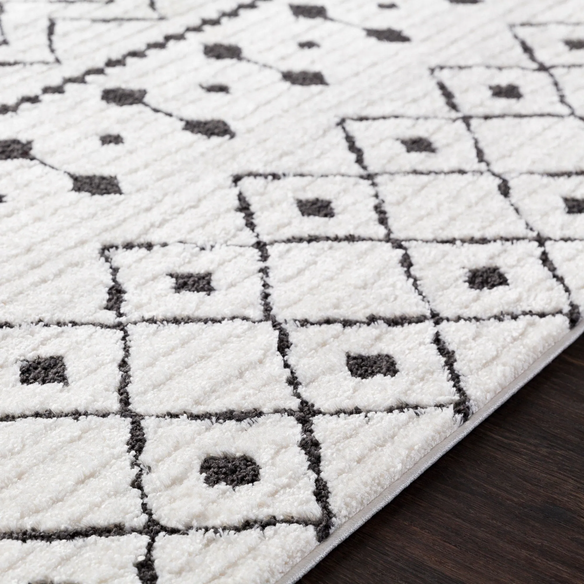 Livabliss Salcedo Bohemian Textural Plush Area Rug