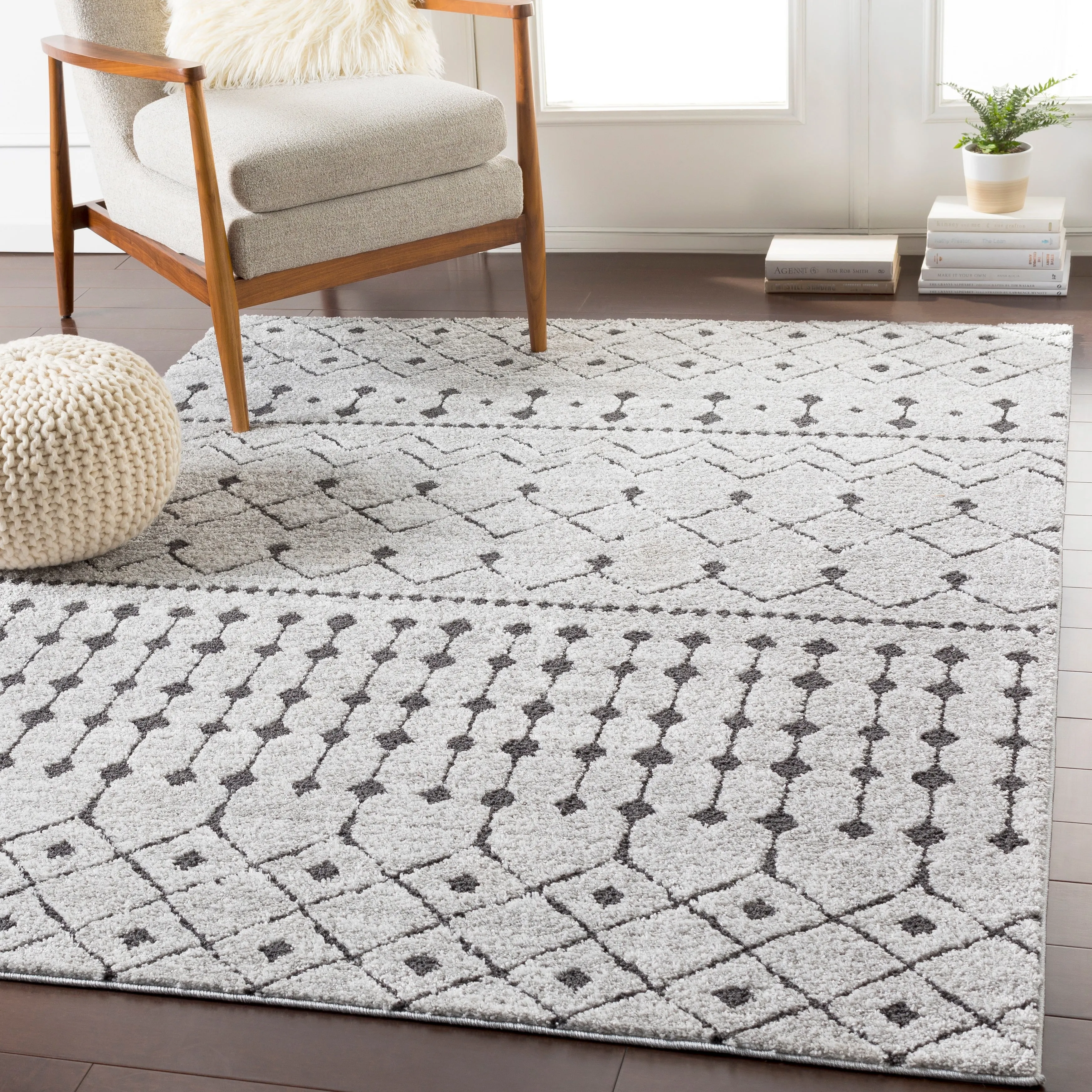 Livabliss Salcedo Bohemian Textural Plush Area Rug