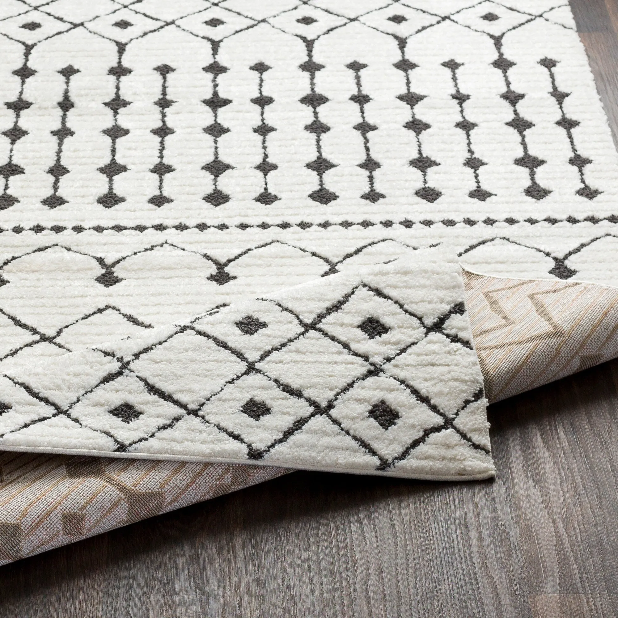 Livabliss Salcedo Bohemian Textural Plush Area Rug