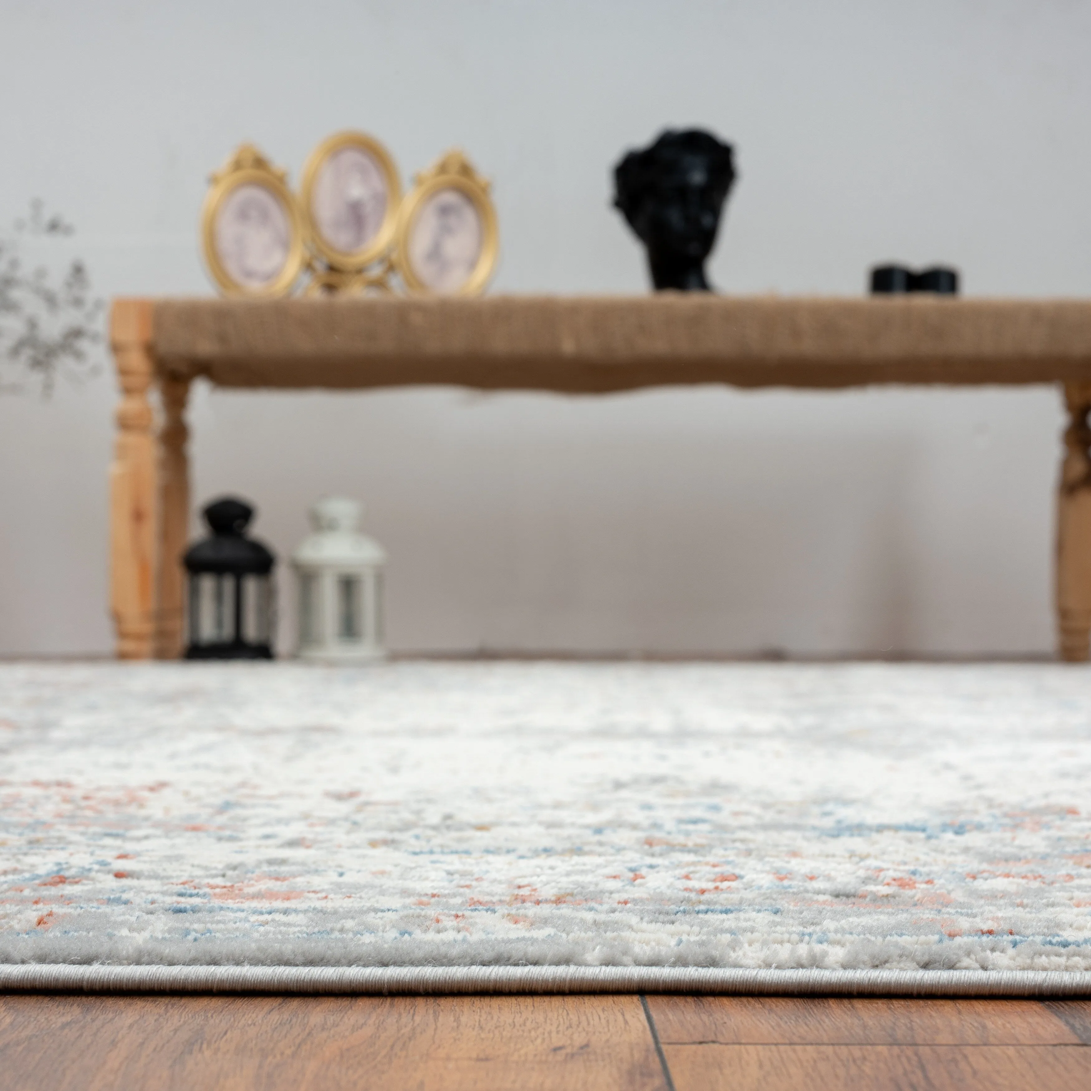 Lumina Vintage Transitional and Contemporary Area Rug
