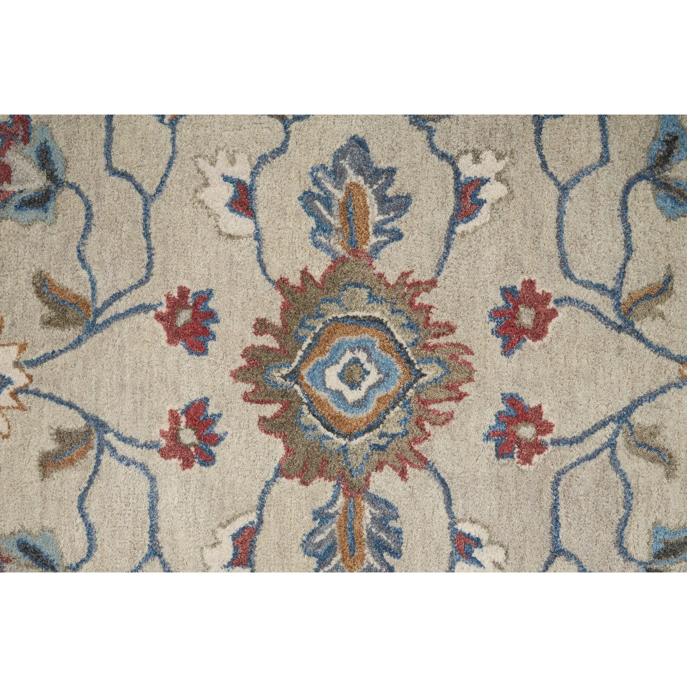Mattias R8642 Oriental Transitional Area Rug