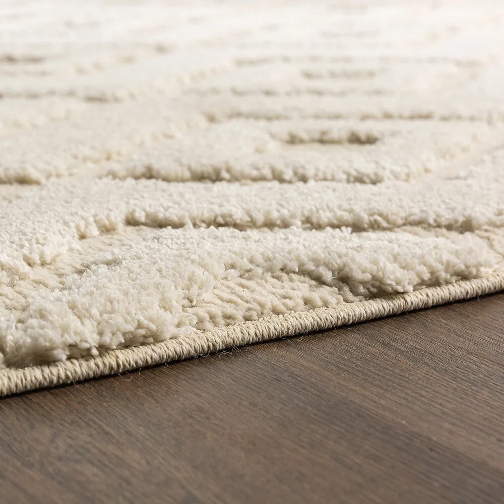 Mohawk Home Hampshire Woven Area Rug