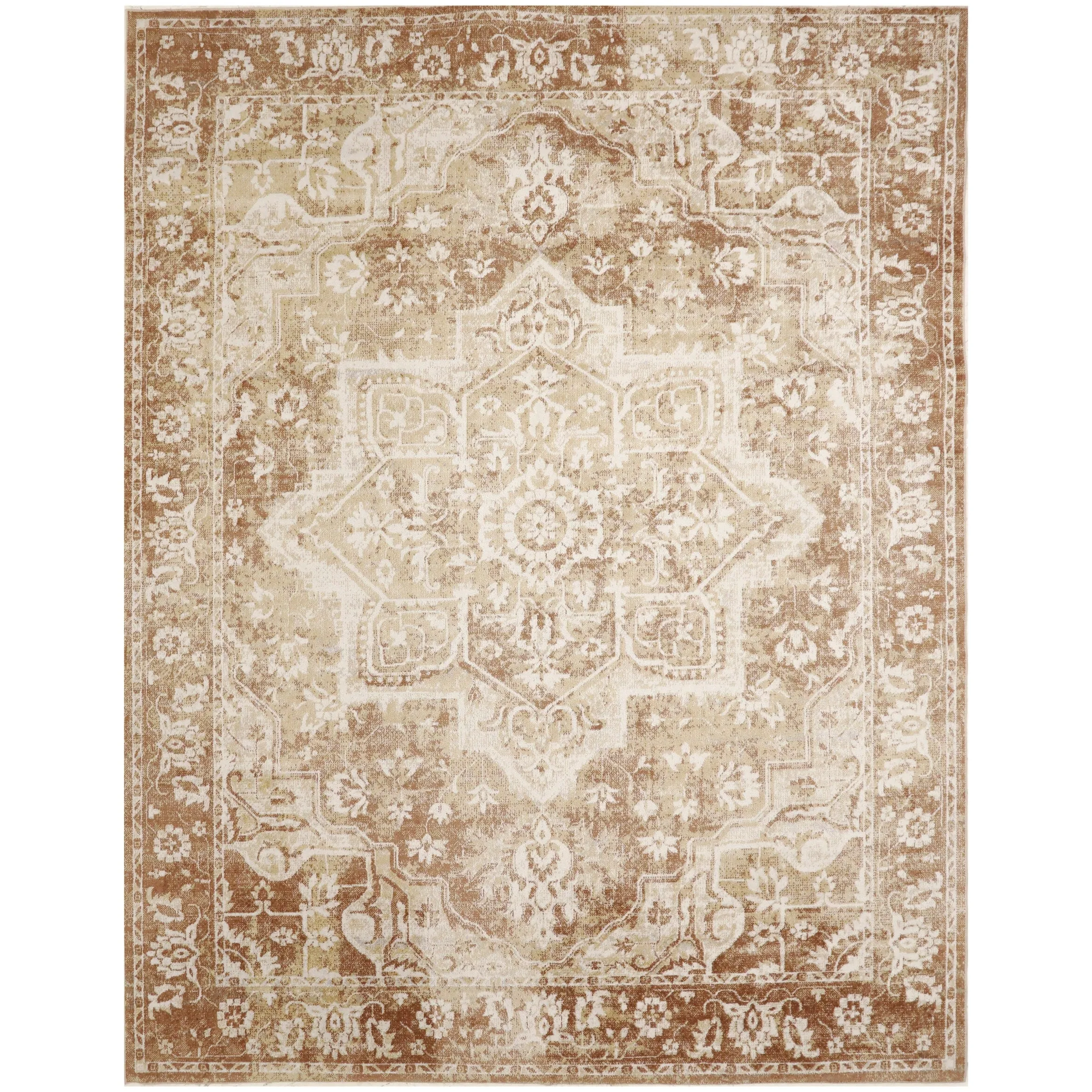 Nourison Astra Machine Washable Distressed Area Rug