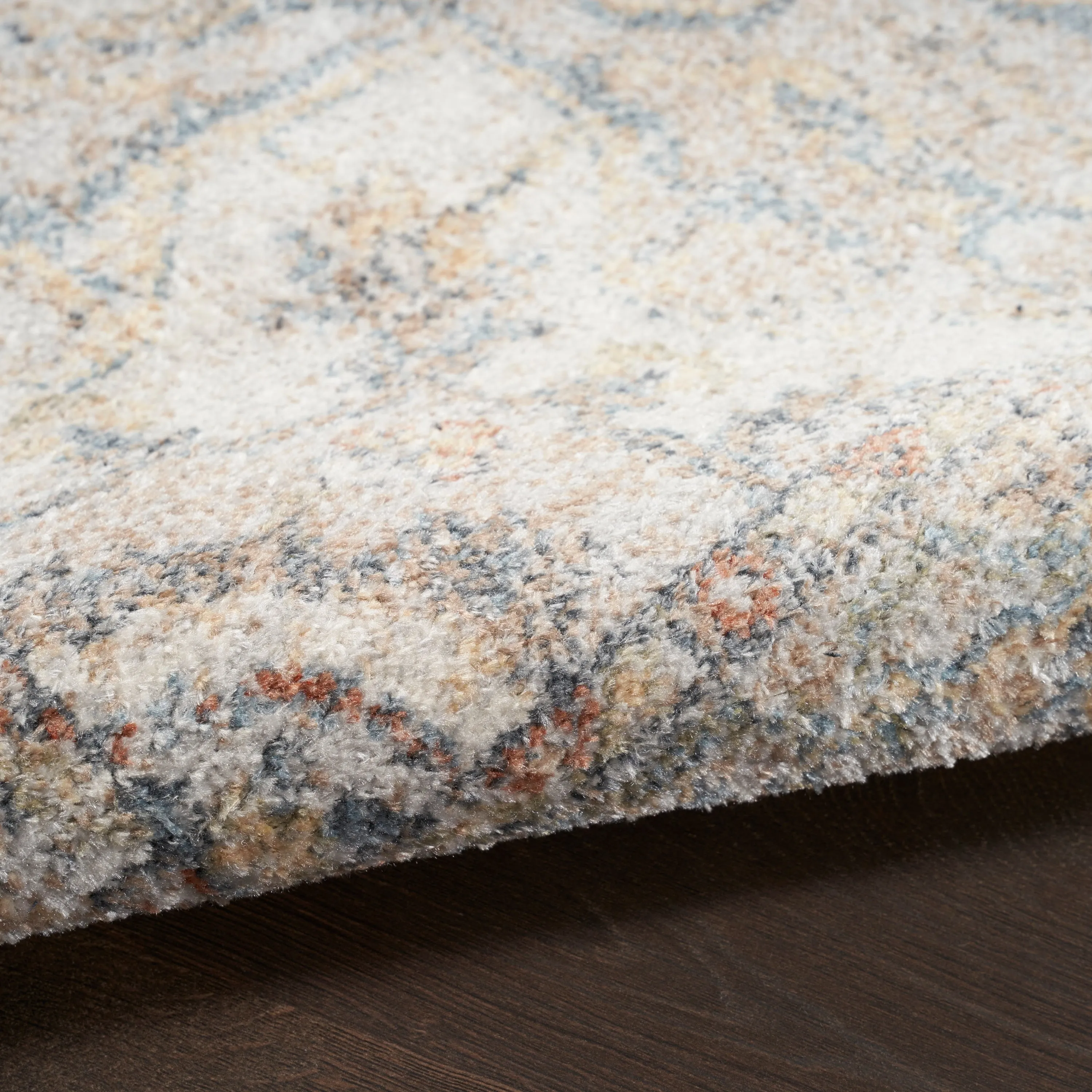Nourison Astra Machine Washable Distressed Area Rug