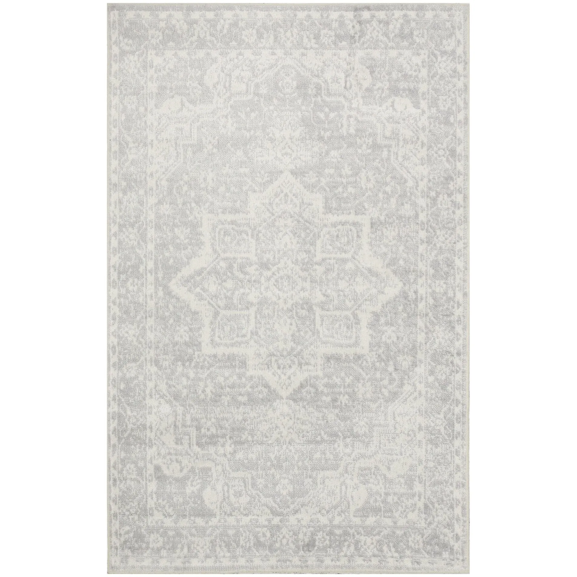 Nourison Astra Machine Washable Distressed Area Rug