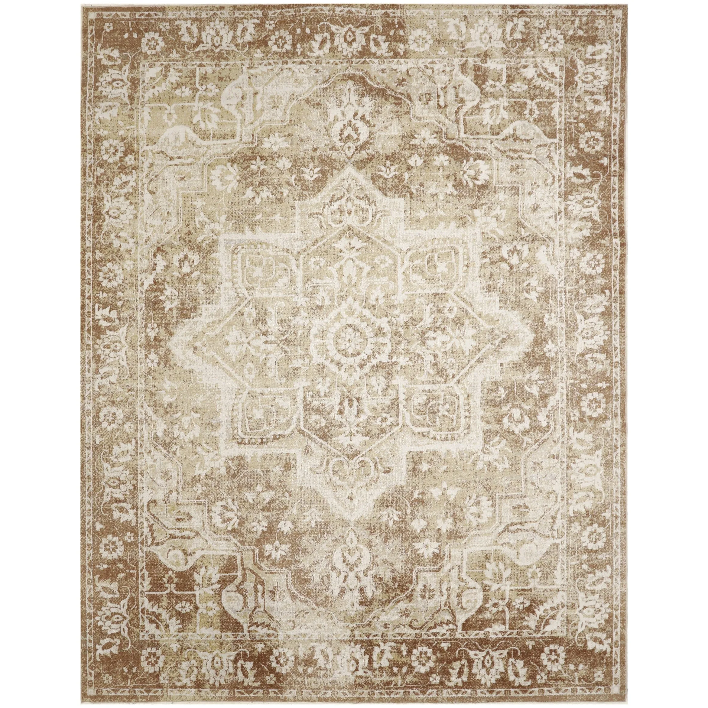 Nourison Astra Machine Washable Distressed Area Rug