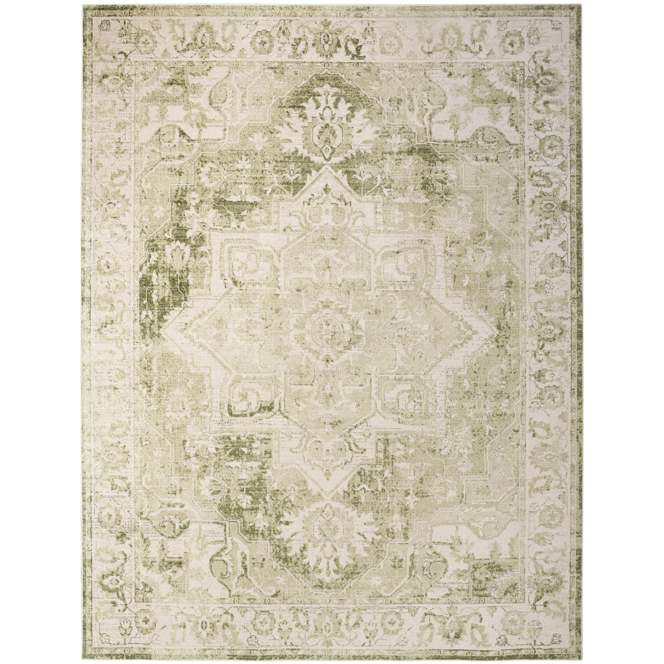 Nourison Astra Machine Washable Distressed Area Rug