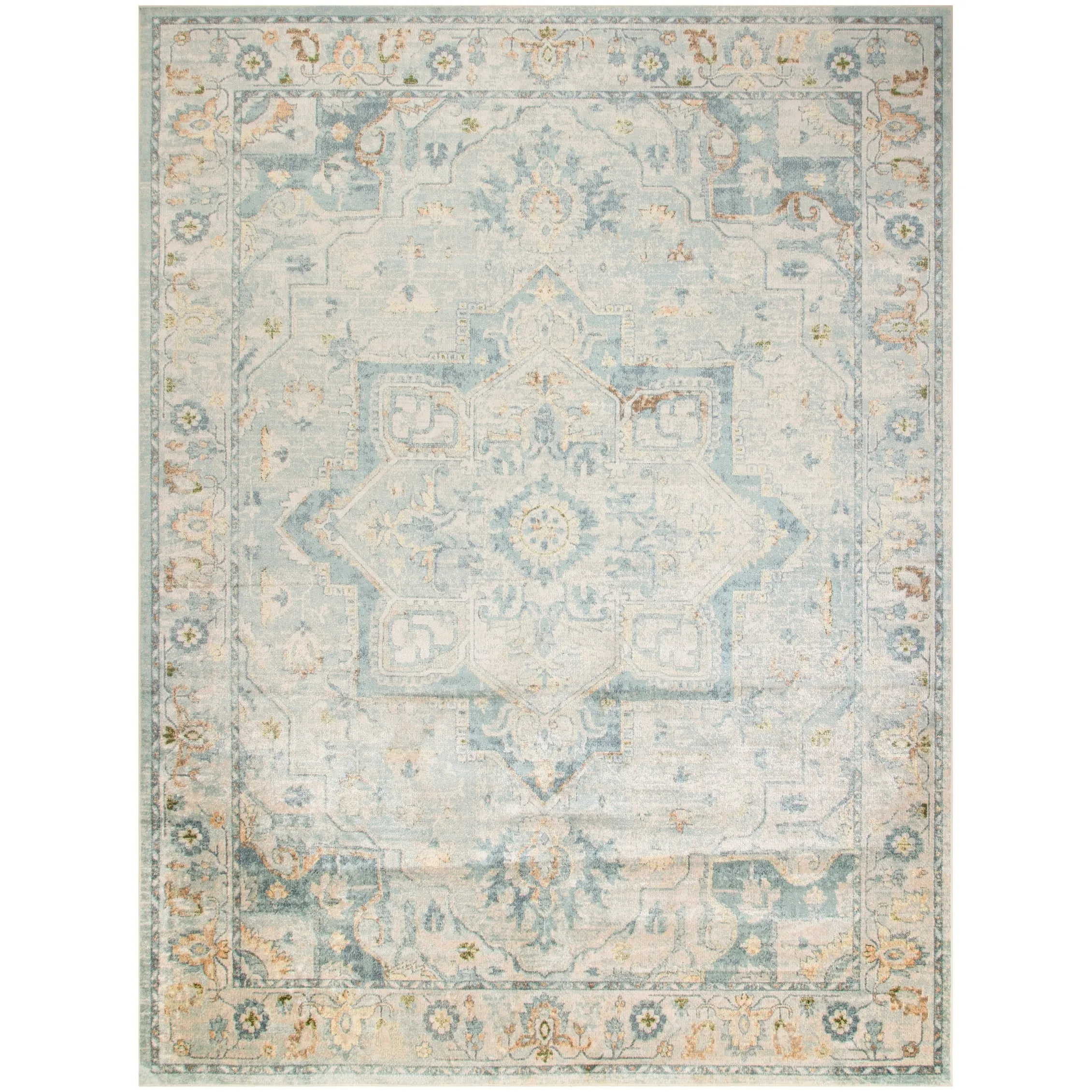 Nourison Astra Machine Washable Distressed Area Rug