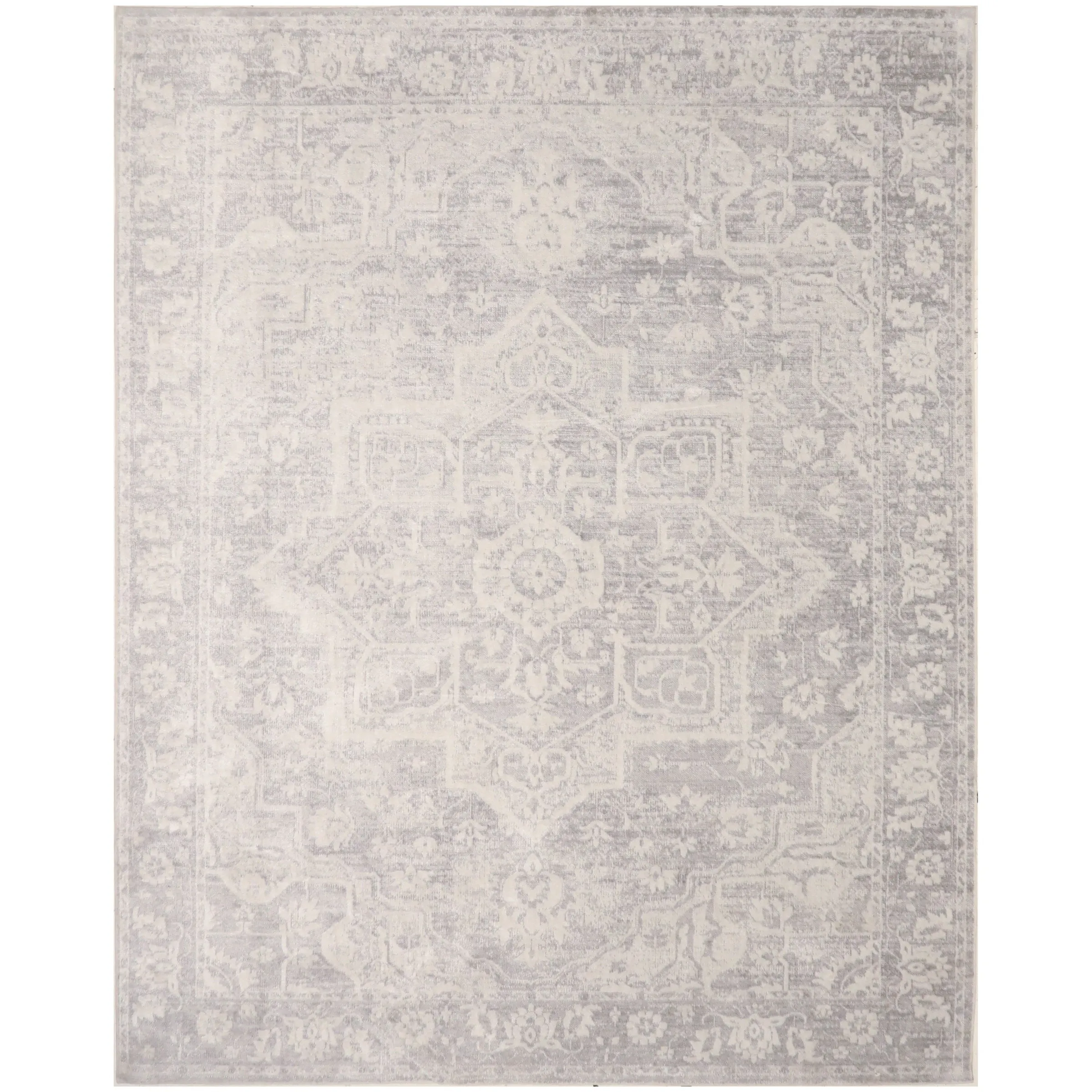 Nourison Astra Machine Washable Distressed Area Rug