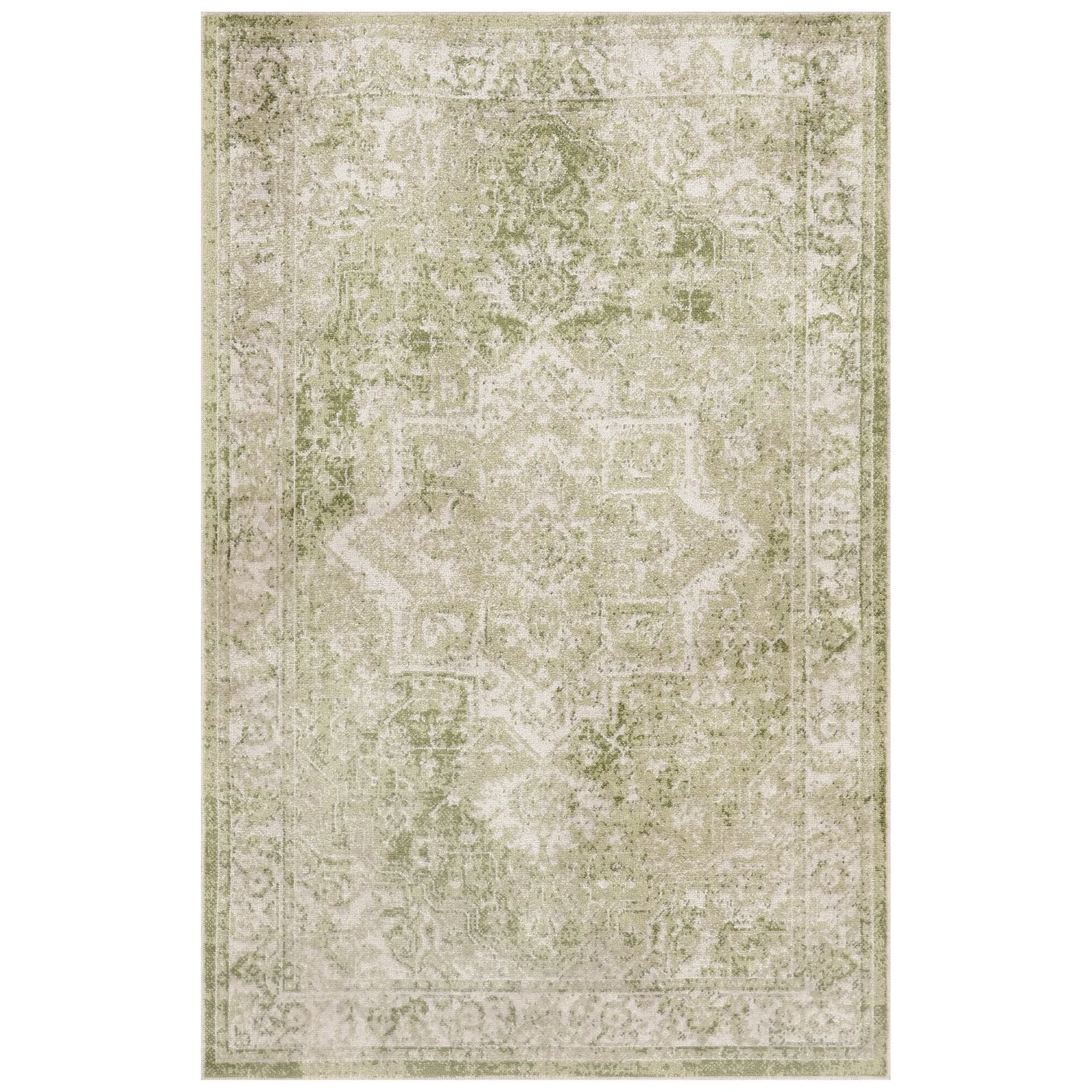 Nourison Astra Machine Washable Distressed Area Rug