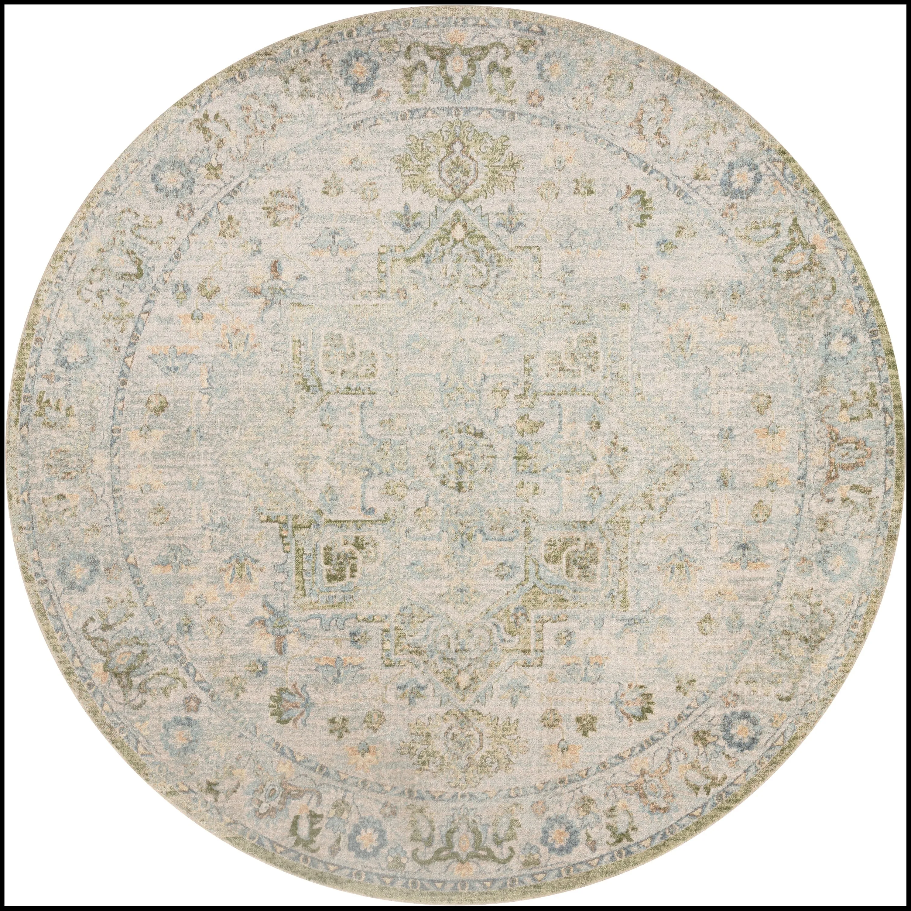 Nourison Astra Machine Washable Distressed Area Rug