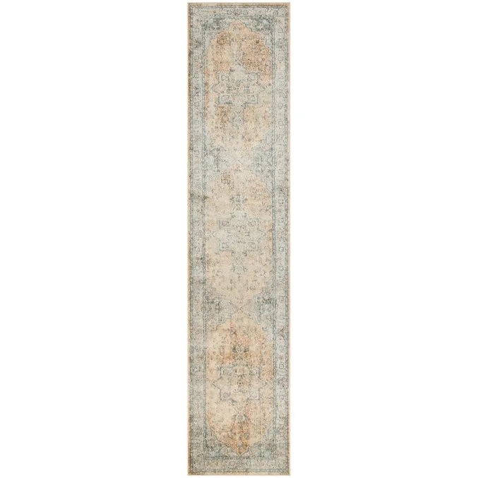 Nourison Astra Machine Washable Distressed Area Rug