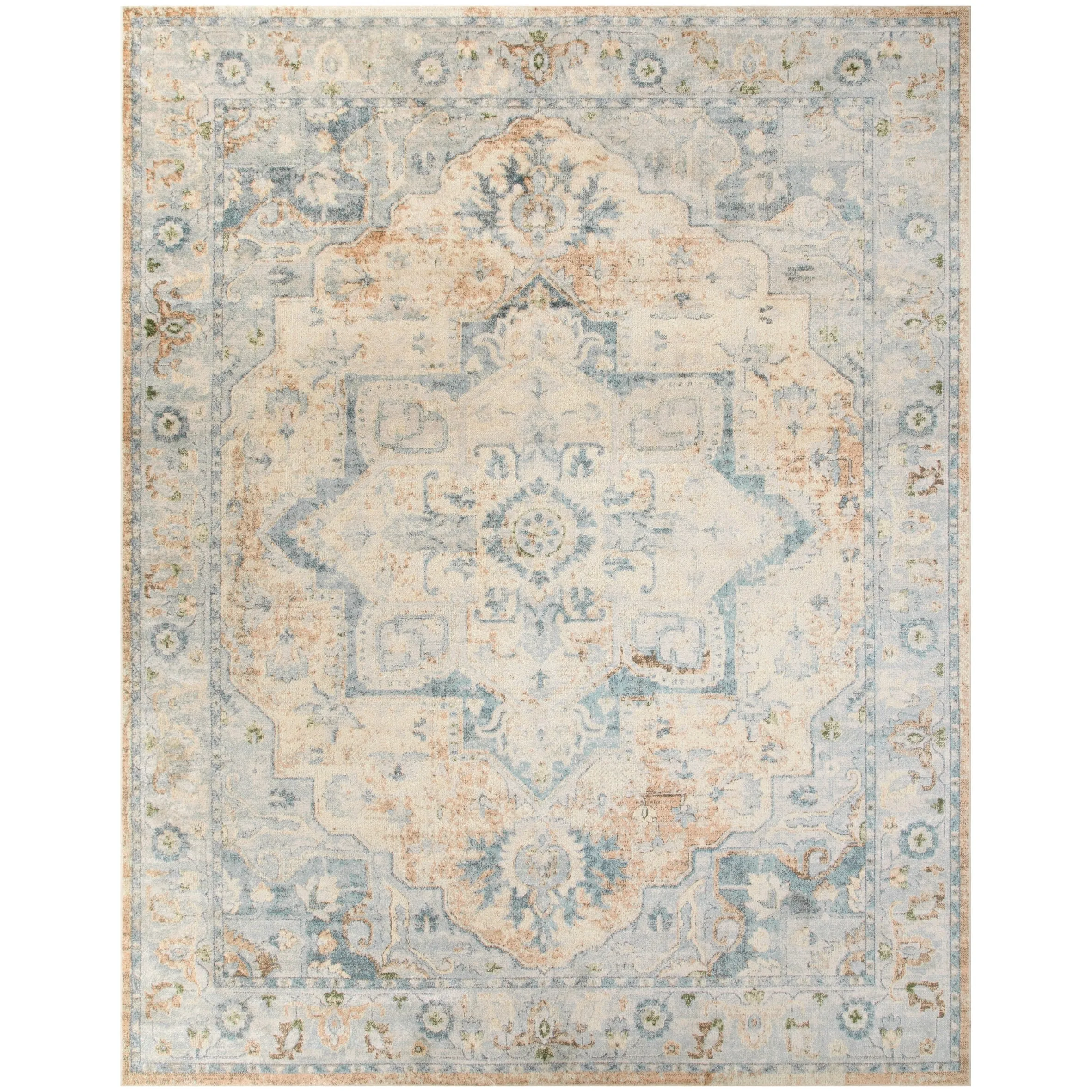Nourison Astra Machine Washable Distressed Area Rug
